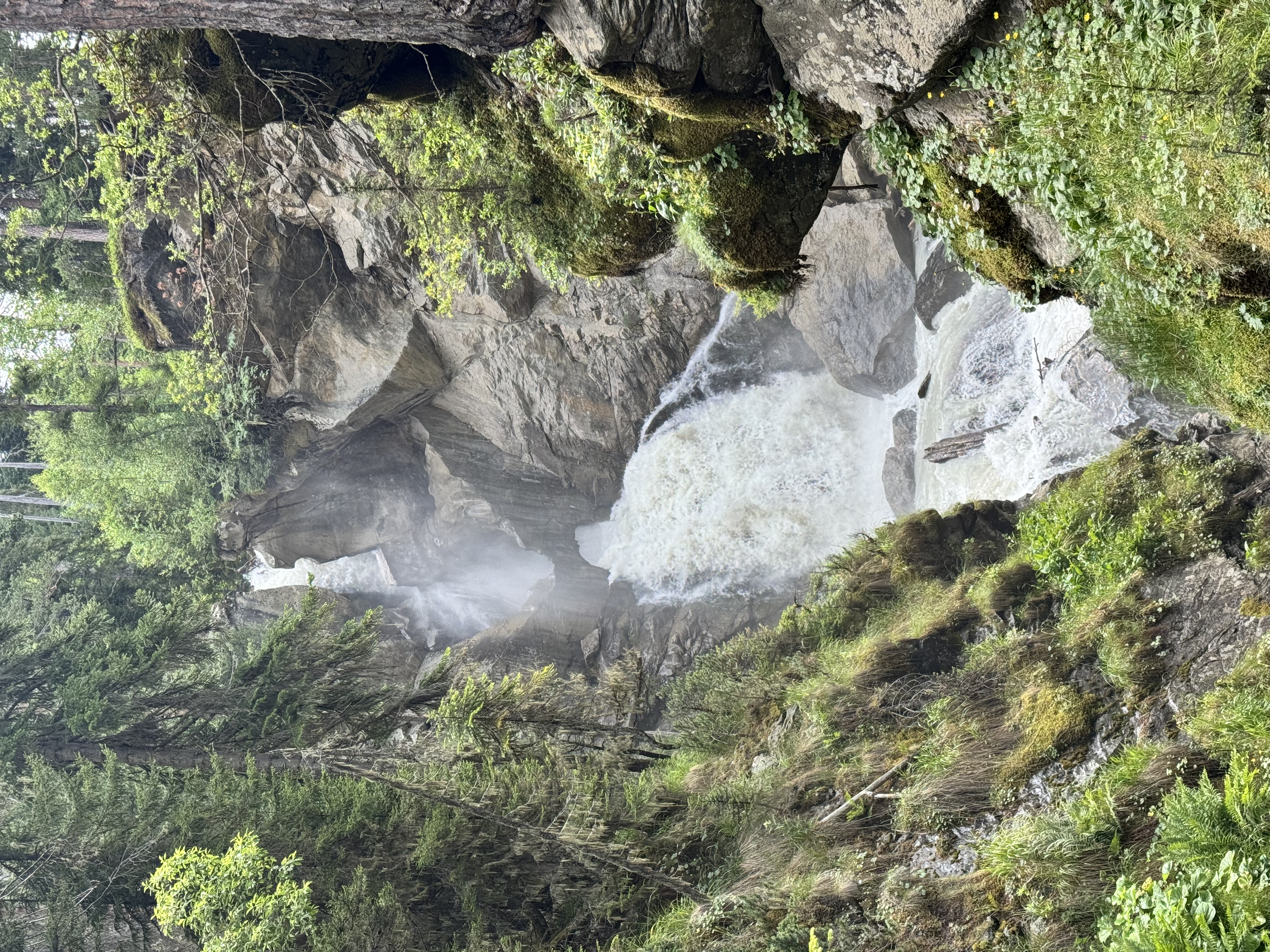 Экскурсия в Махарское ущелье: путешествие в сердце Карачаево-Черкесии (индивидуально) (5/9)