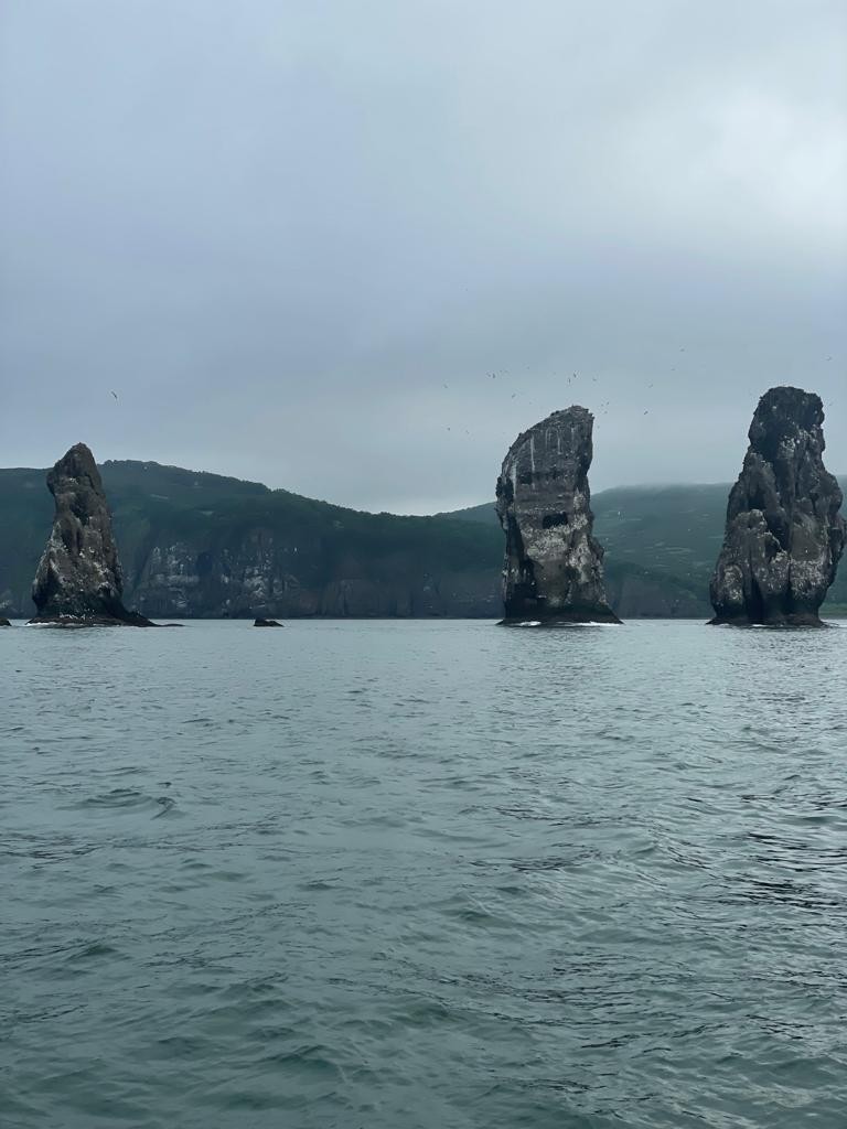 Камчатка по-максимуму! Киты и медведи. Все включено! С комфортом. (7/8)