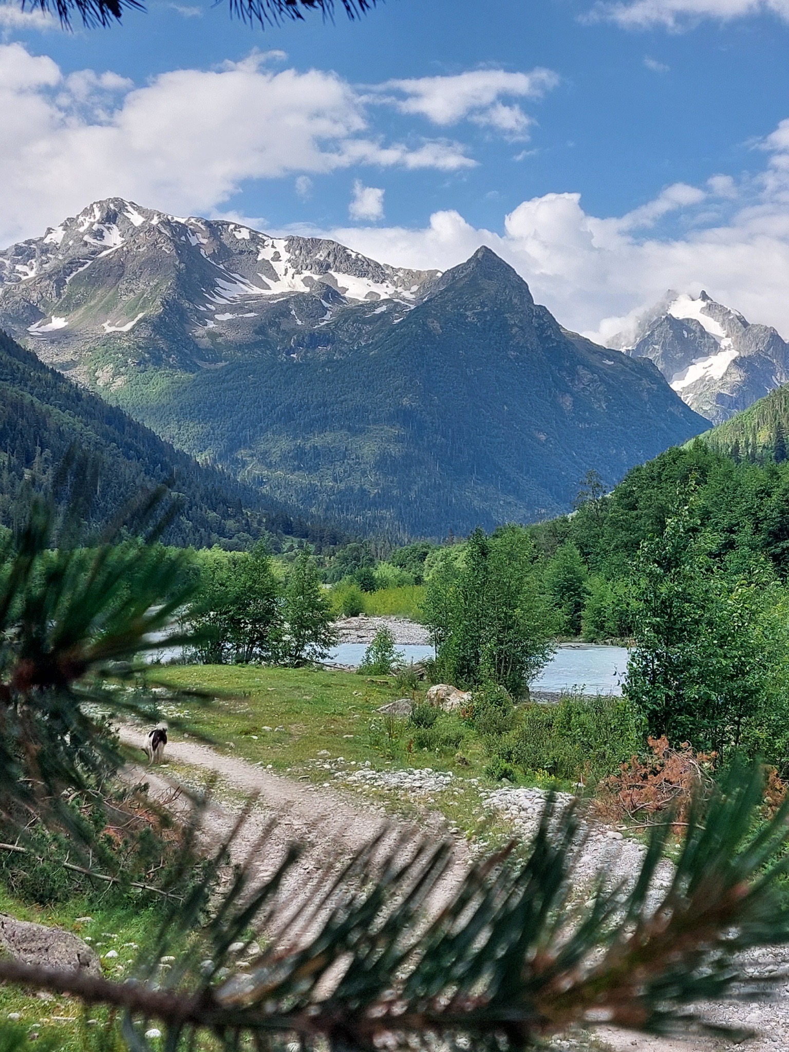 Экскурсия в Махарское ущелье: путешествие в сердце Карачаево-Черкесии (индивидуально) (4/9)
