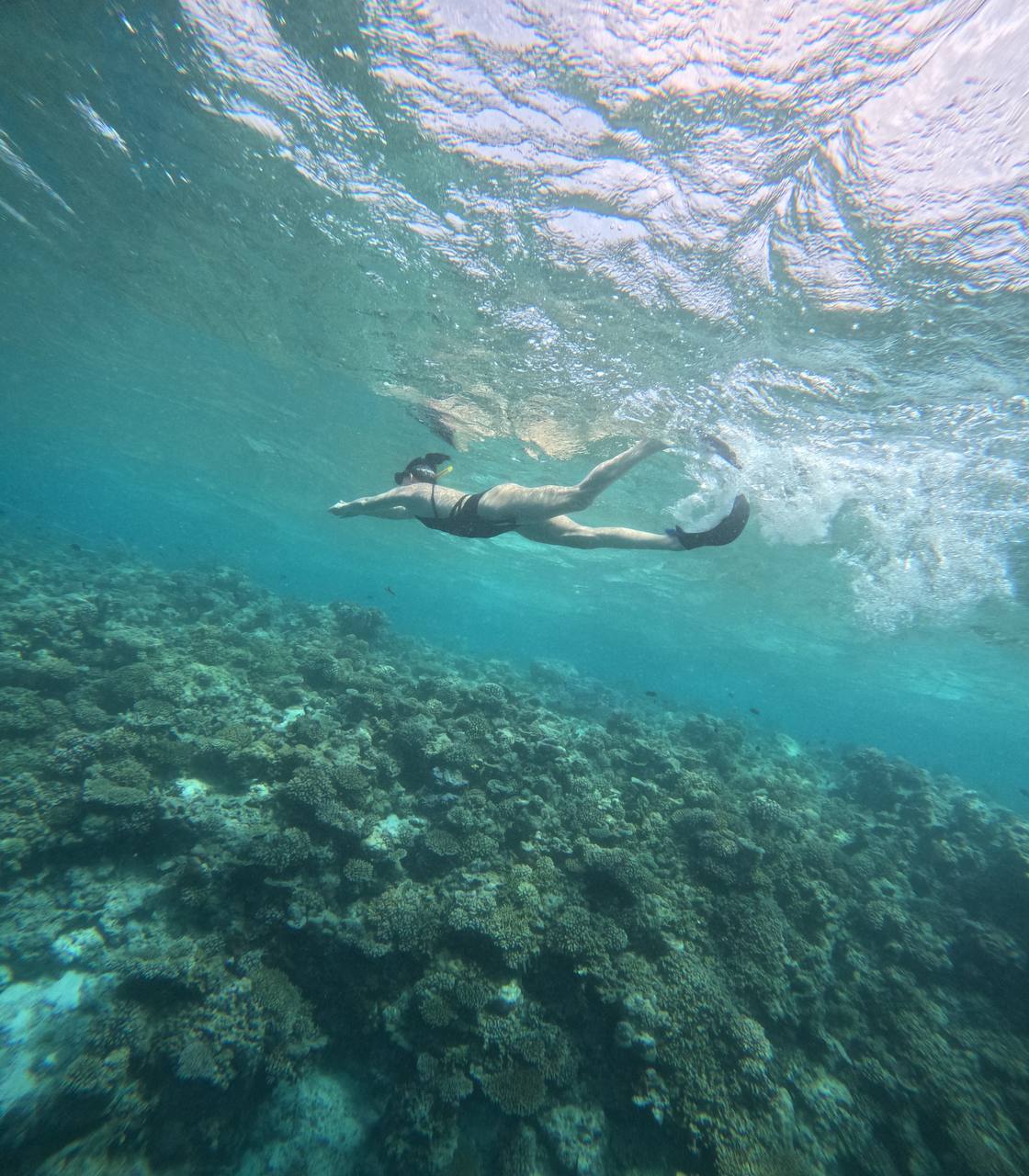 райские Мальдивы, 8 дней (76/111)