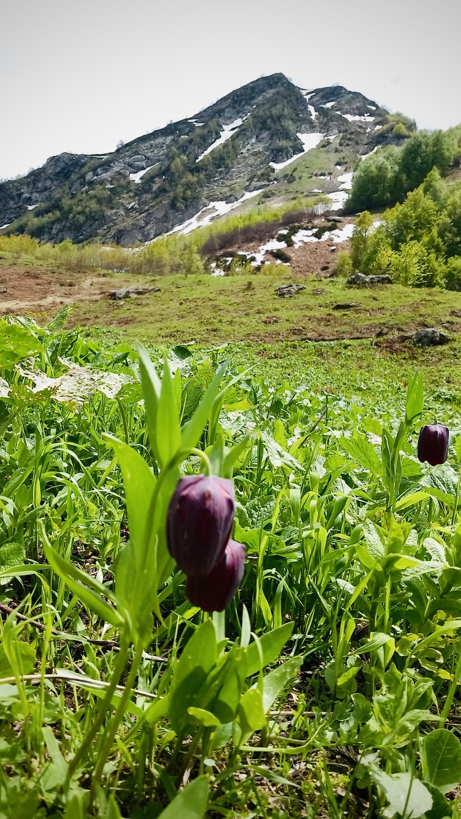 Ора-а! Молодёжный Джип-тур по-Абхазски! (6/89)