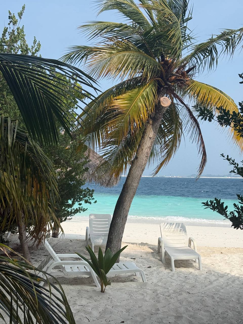 райские Мальдивы, 8 дней (84/111)