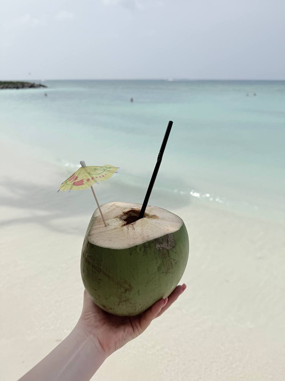 райские Мальдивы, 8 дней (74/111)