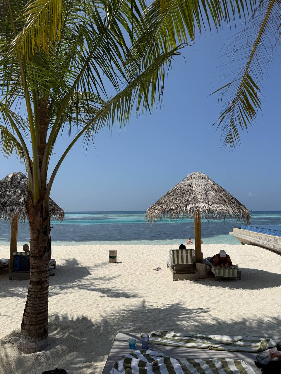 райские Мальдивы, 8 дней (34/111)