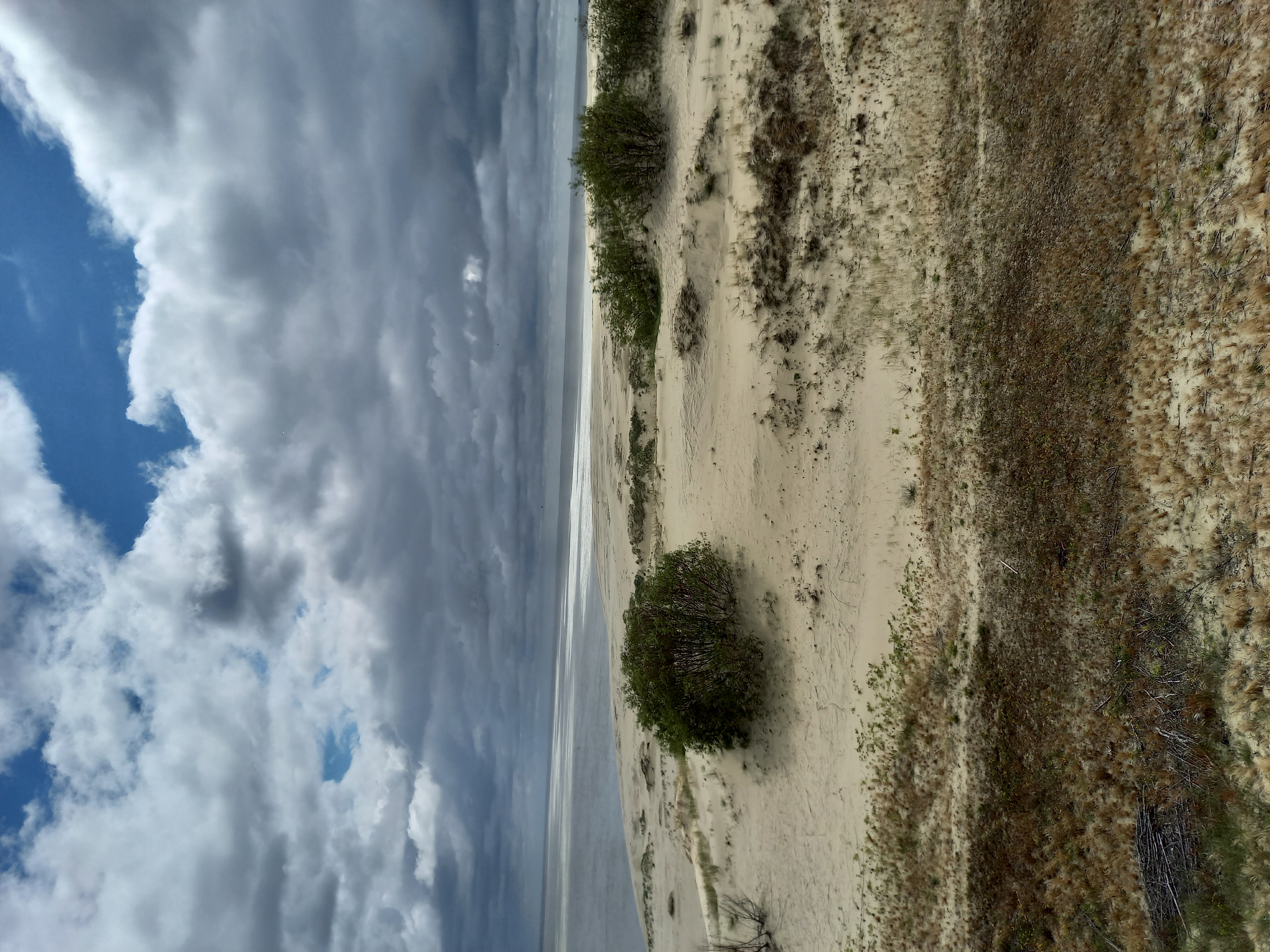 Калининградская Голландия (14/35)