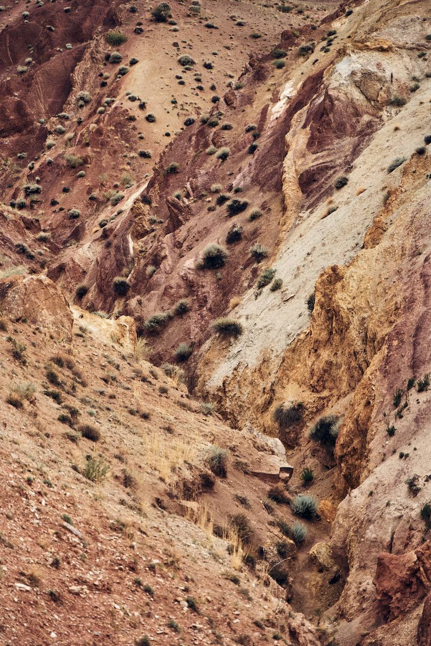 Спорт Кэмп. Алтай: спорт и приключения в одном туре. (12/31)