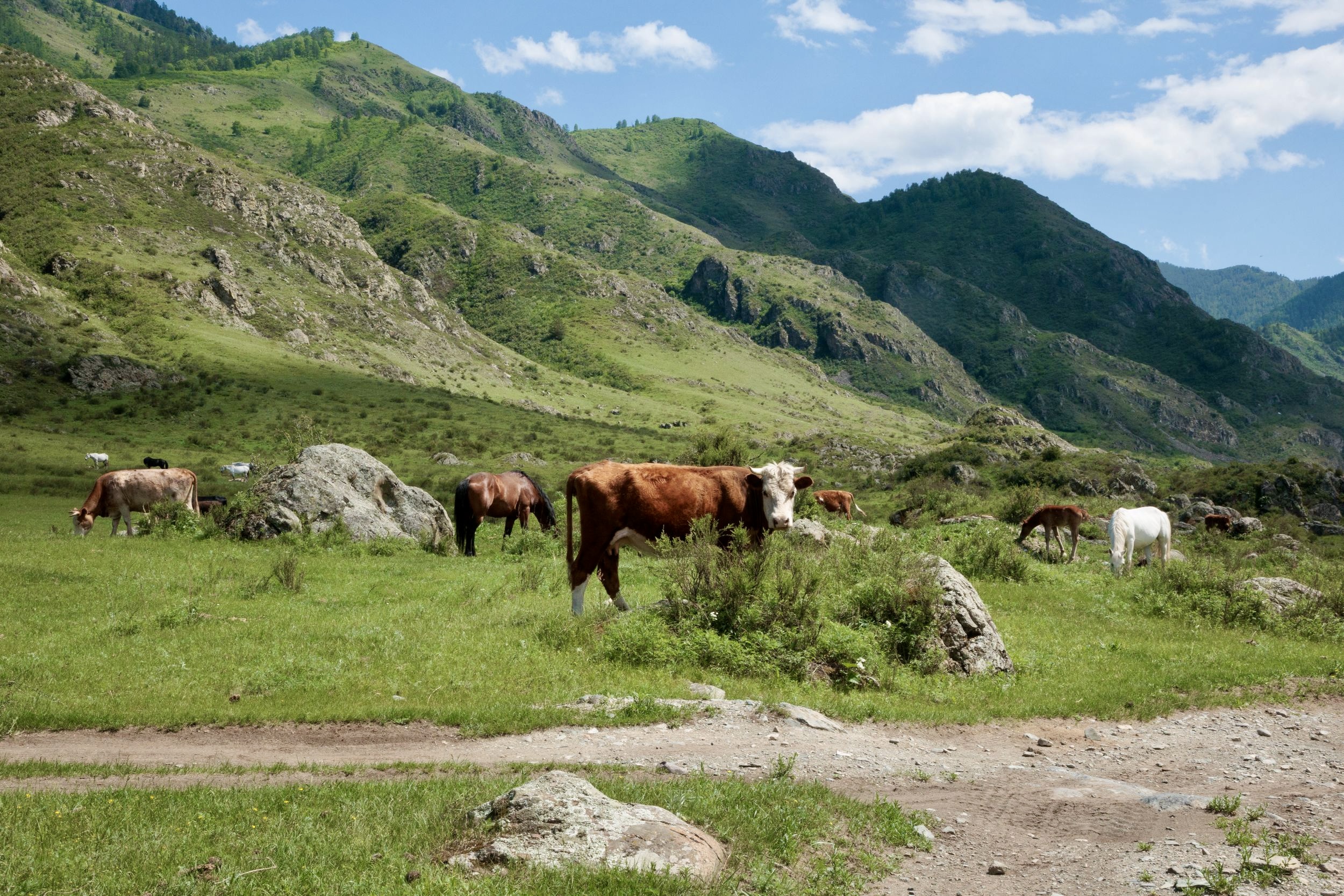 Йога-тур в долине неолита на Алтае! (43/49)