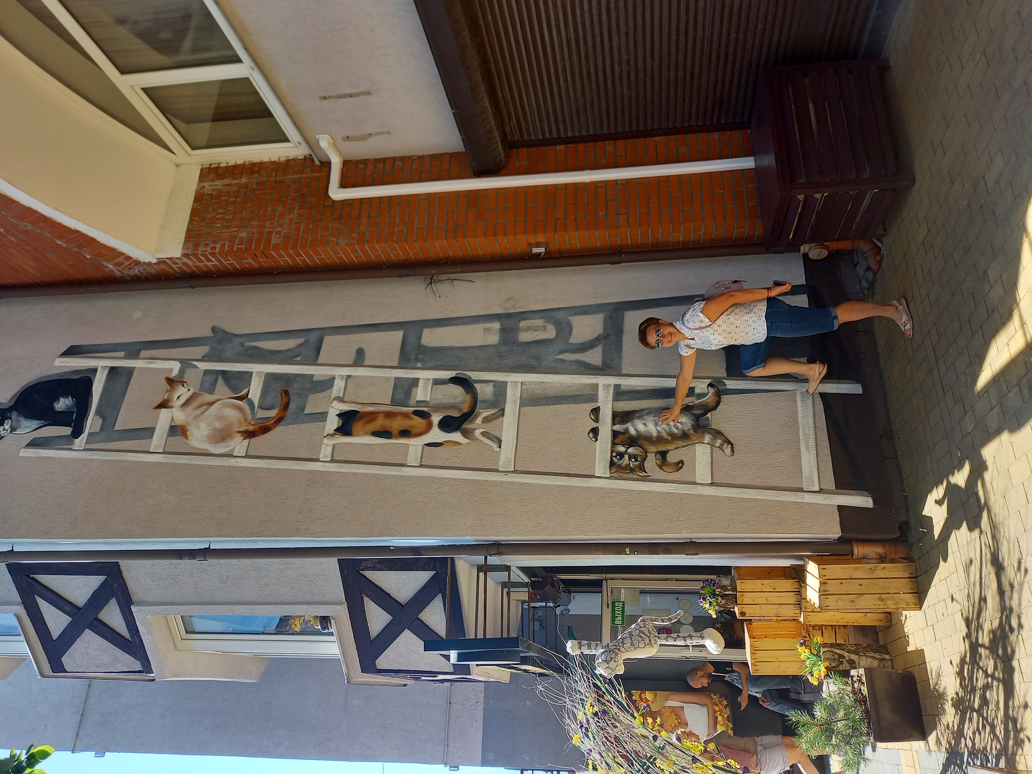 Калининградская Голландия (4/35)