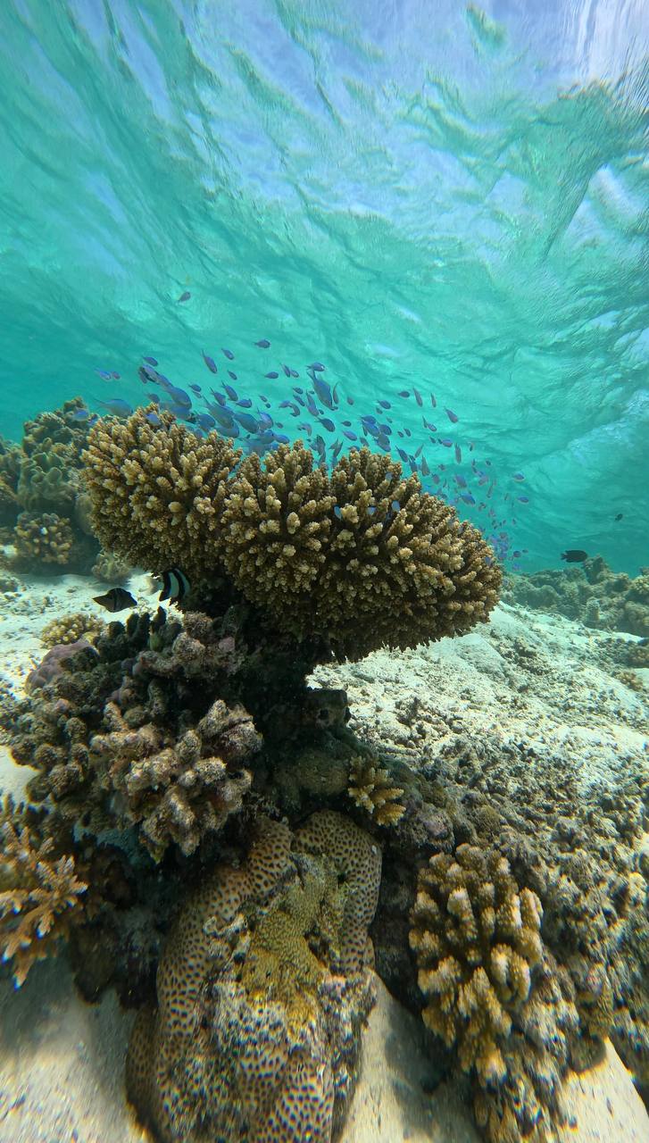 райские Мальдивы, 8 дней (58/111)