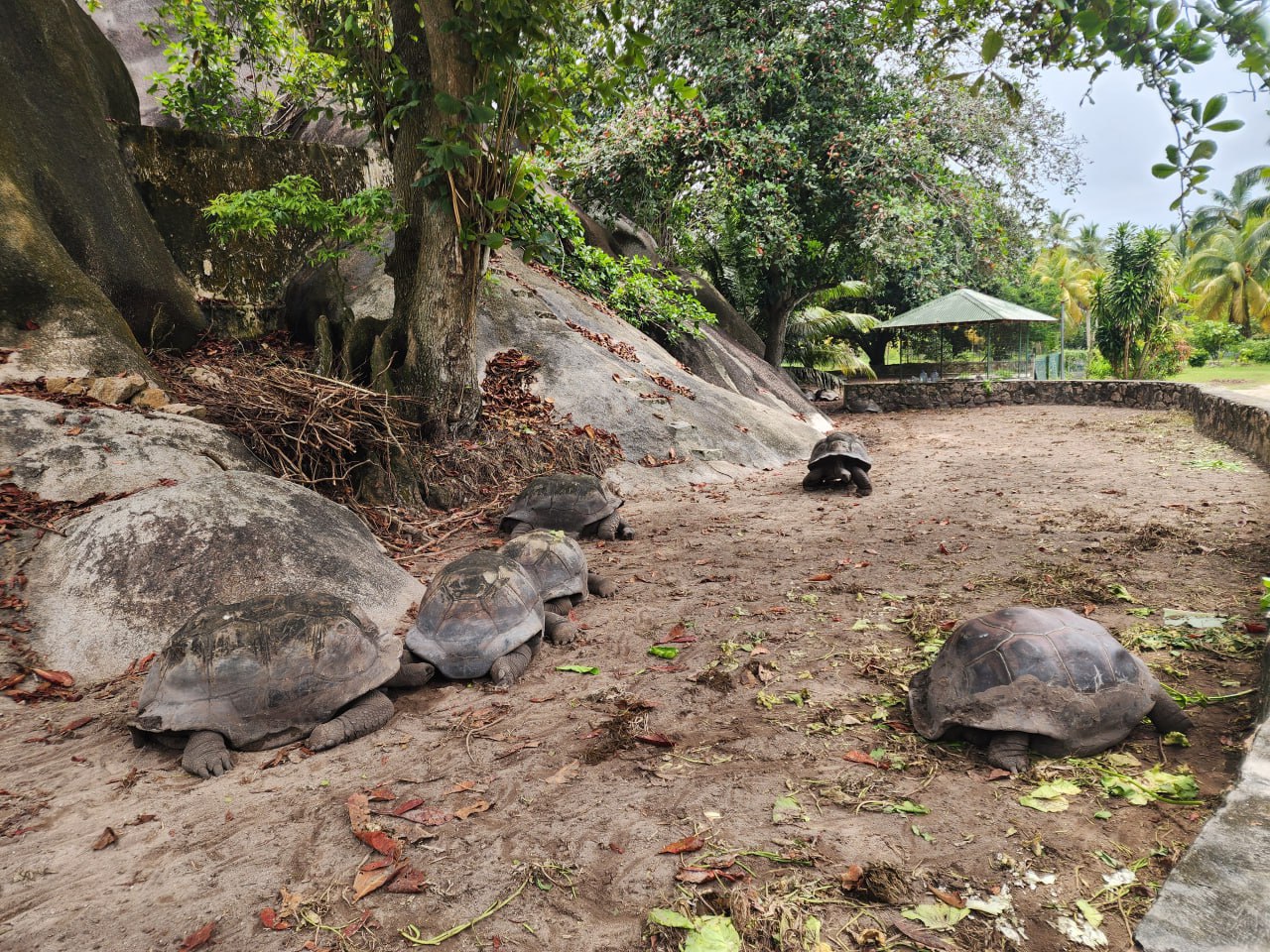 Сейшелы за 5 дней: яхтенный отпуск в бирюзовых бухтах (4/17)