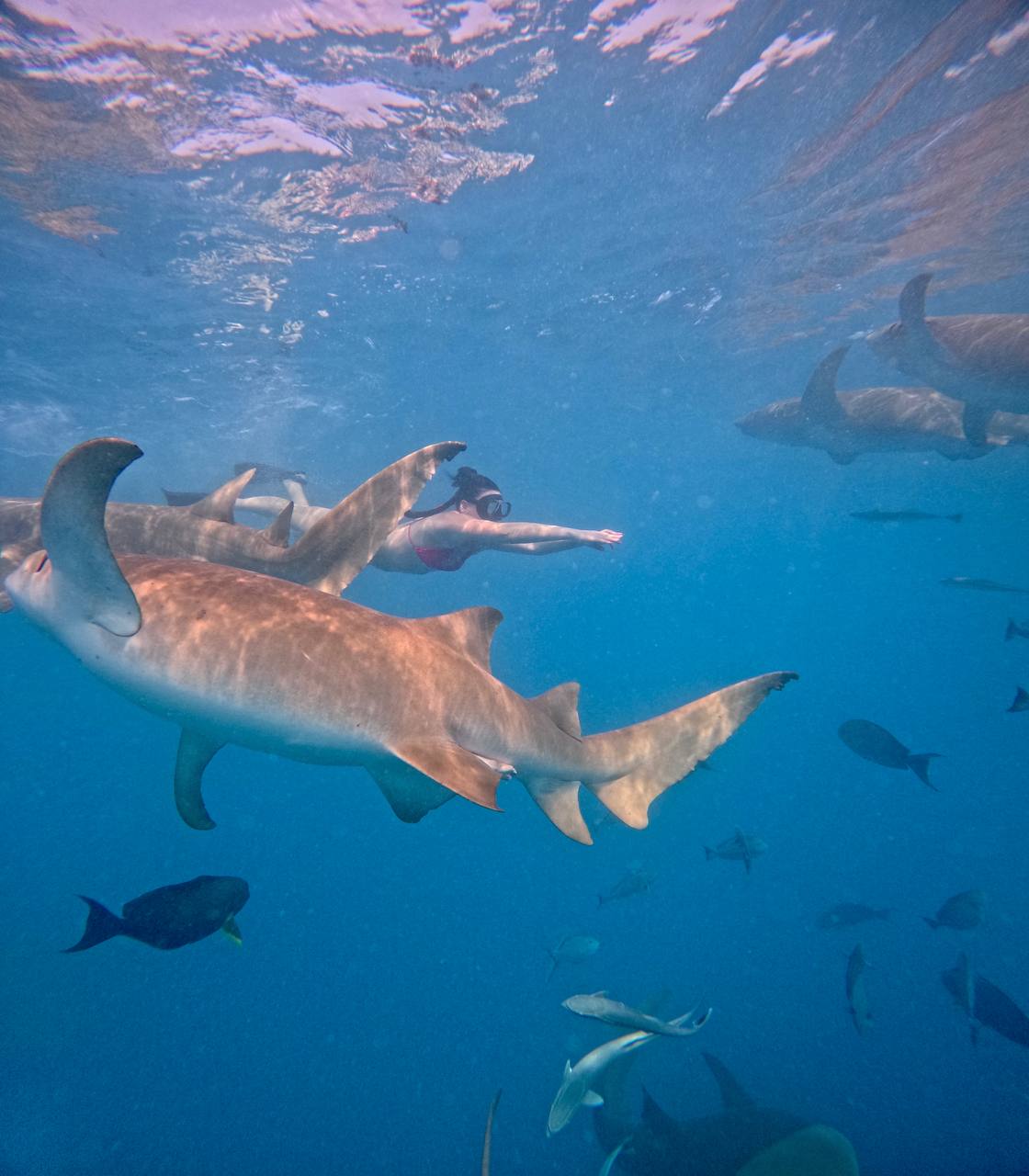 райские Мальдивы, 8 дней (44/111)