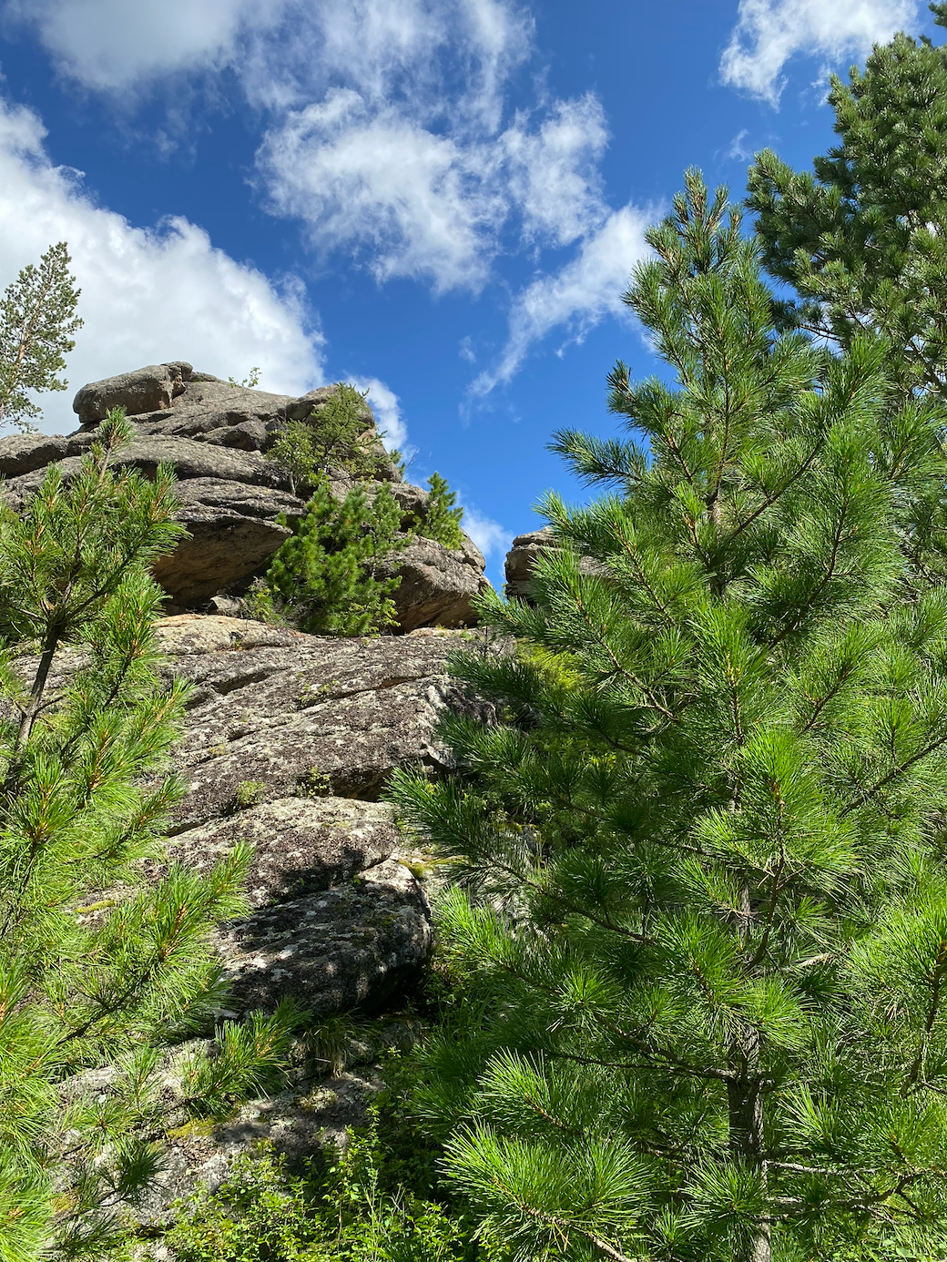 Тур на Алтай — 6 дней, всё включено (14/33)