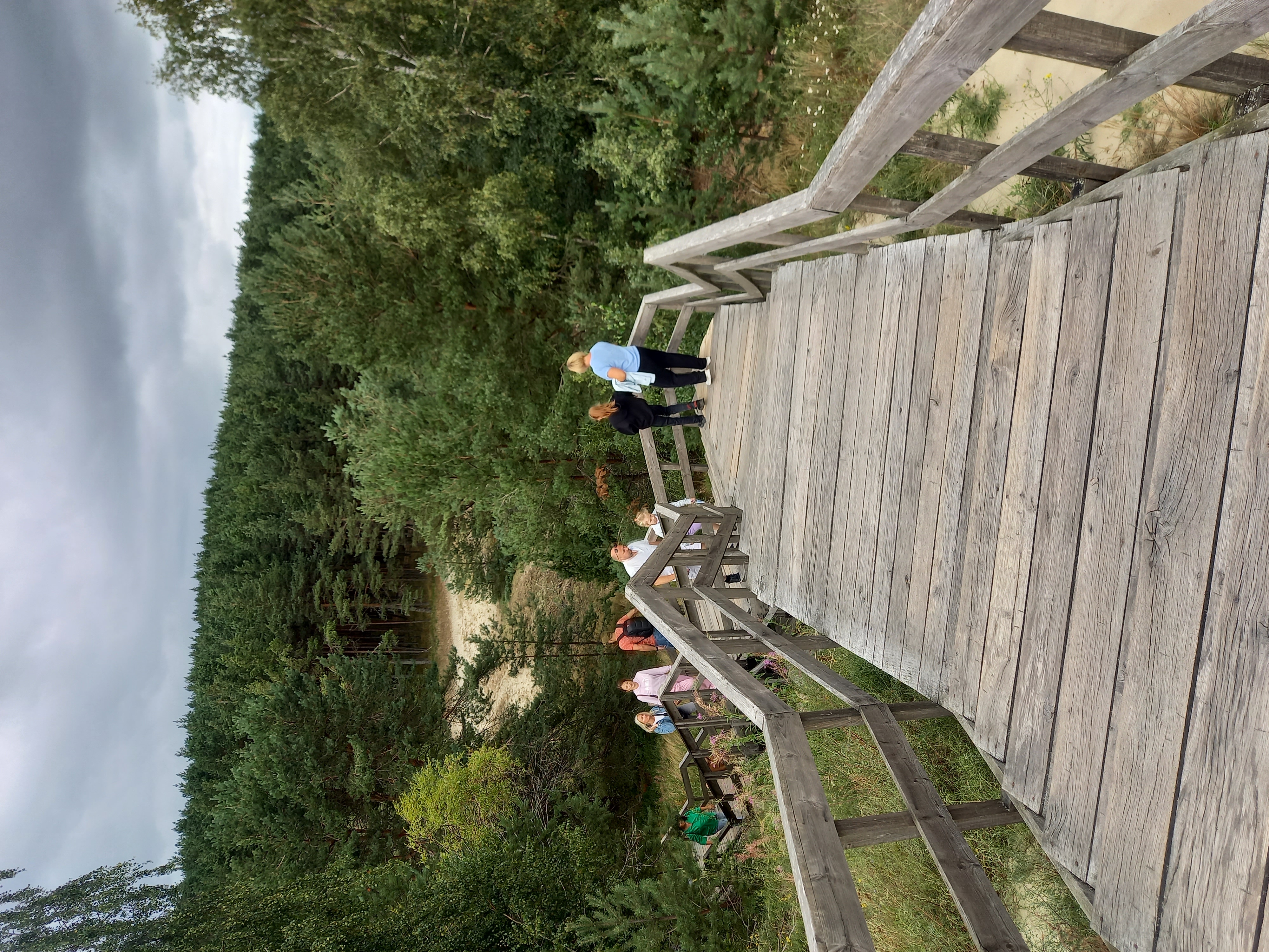 Калининградская Голландия (15/35)