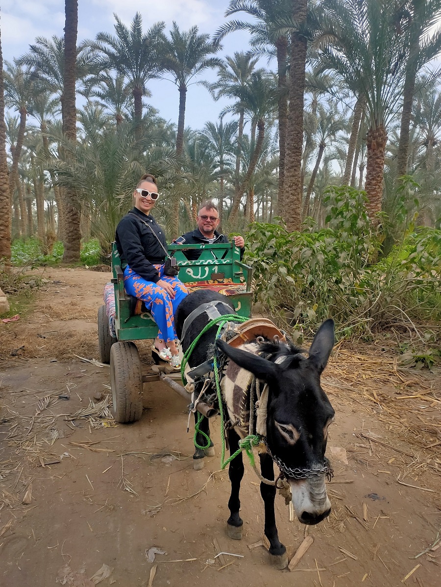 Тайны Саккары Дахшура и фермы (8/16)