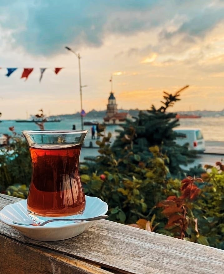 Яркий Стамбул: фестиваль тюльпанов 8-12 апреля (28/32)