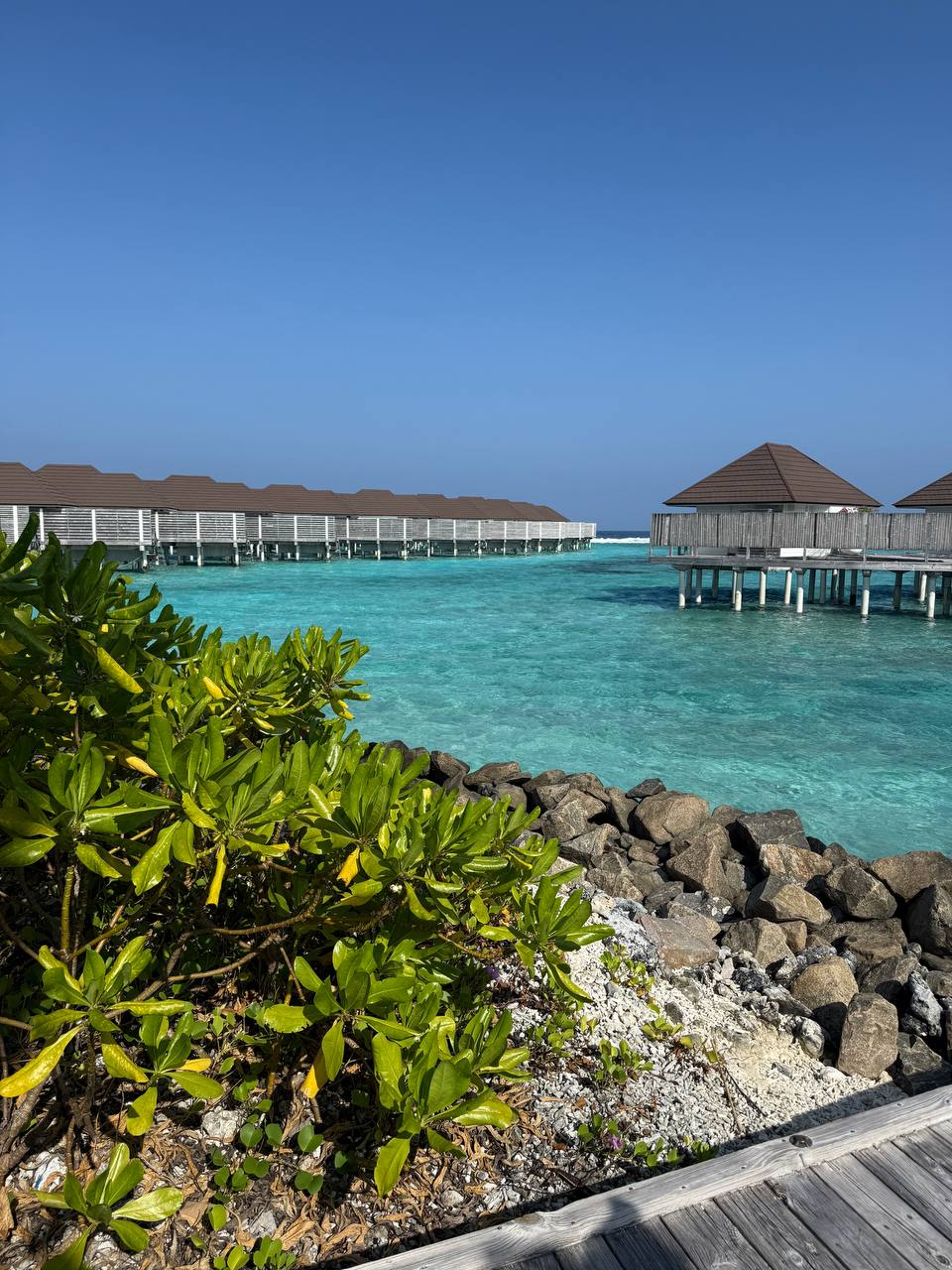 райские Мальдивы, 8 дней (40/111)