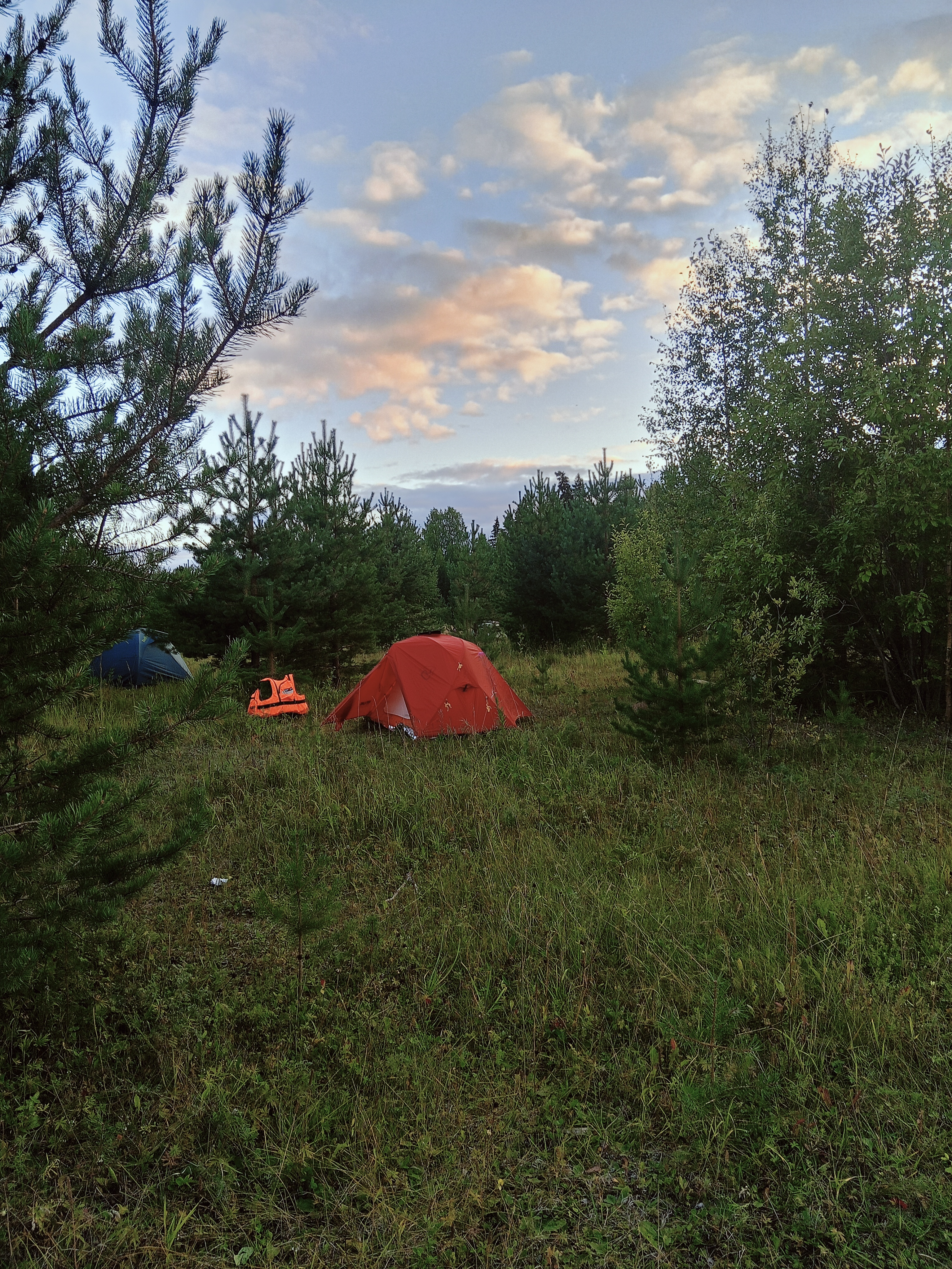 Пинега — река могучего Русского Севера. Водный поход в Архангельской тайге (7/34)