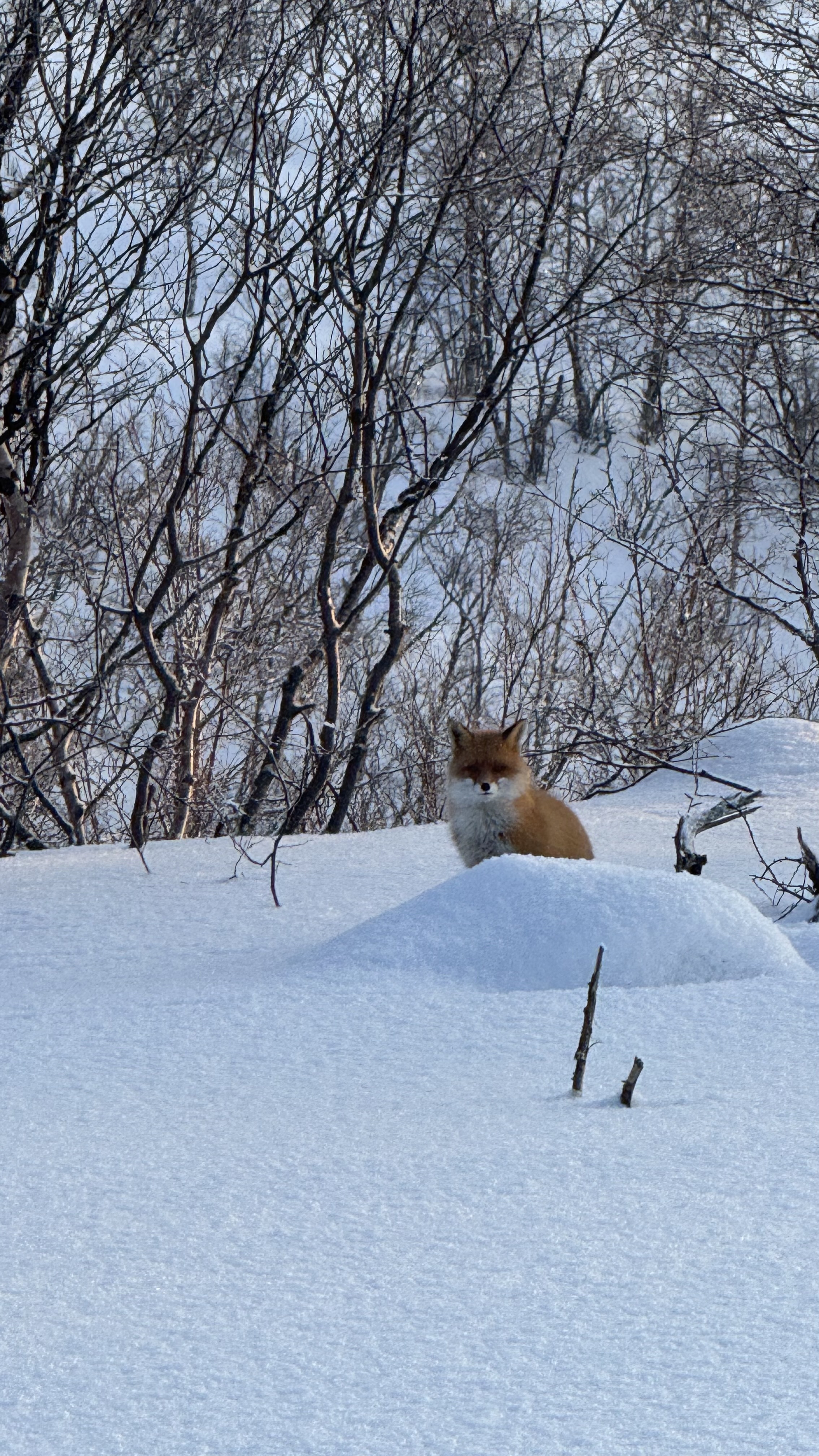 Териберка- через тундру к Краю Земли! (18/20)
