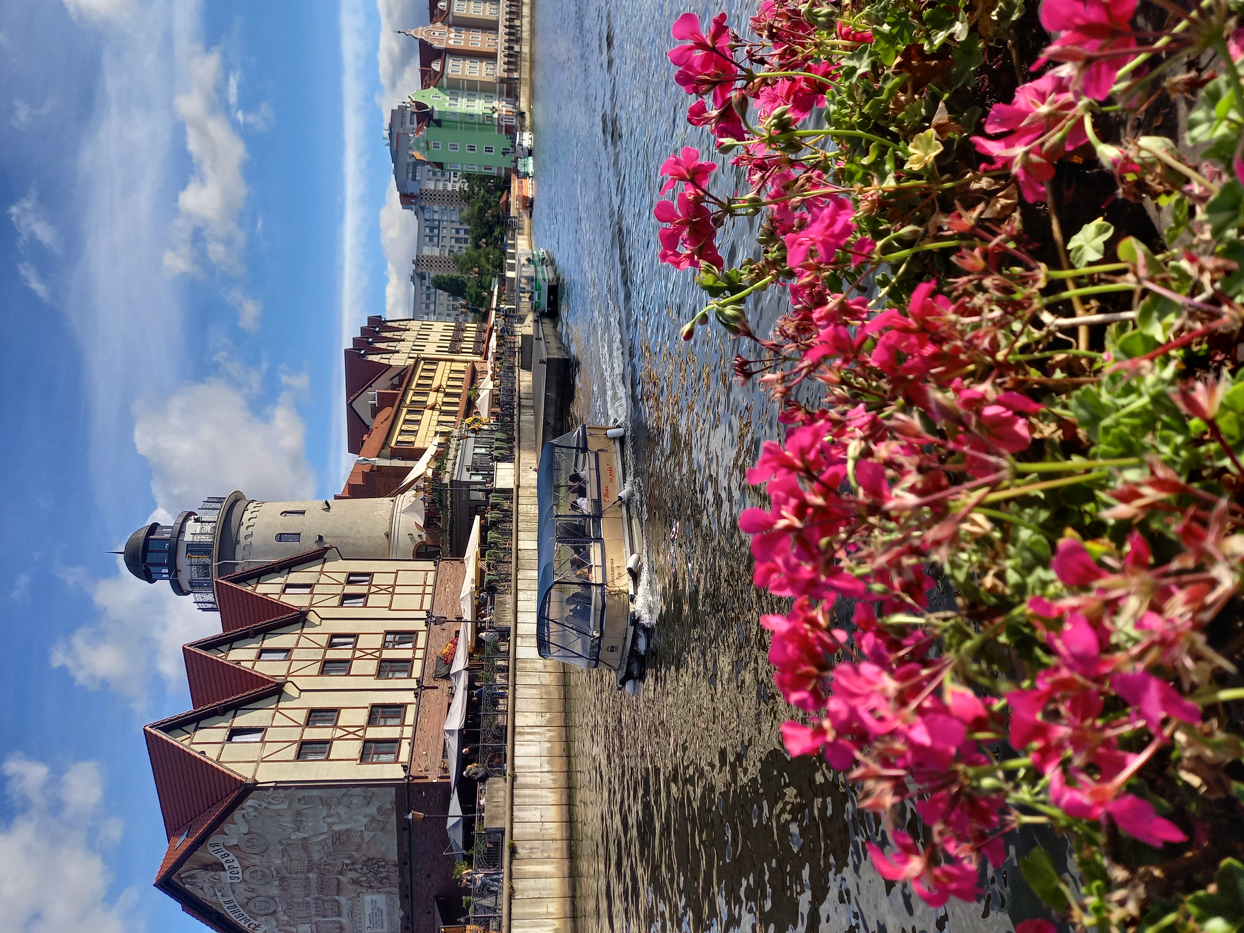 Калининградская Голландия (10/35)