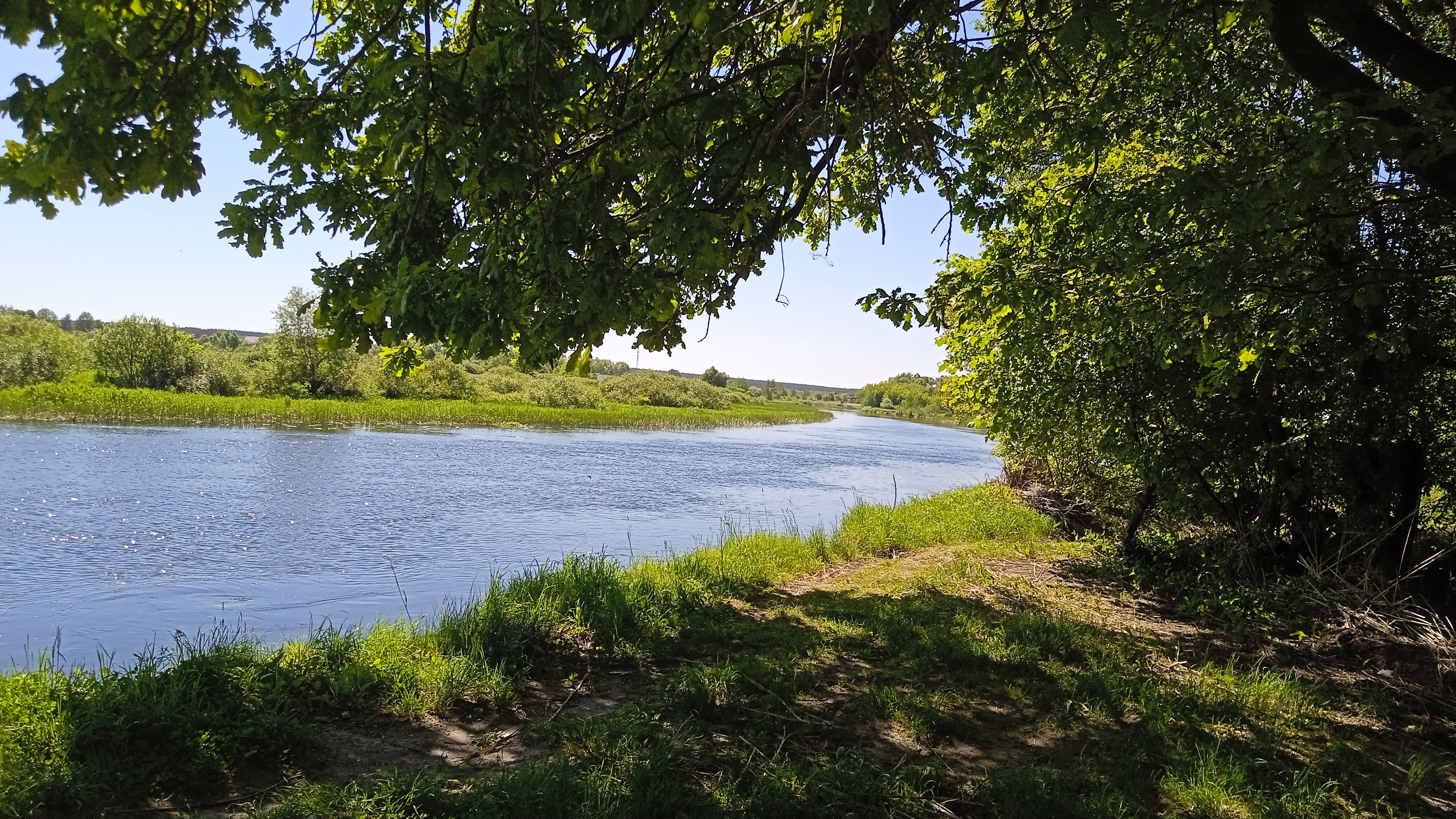 Цигун и Тайцзицюань  в  Dao View - Ясные просторы (22/41)