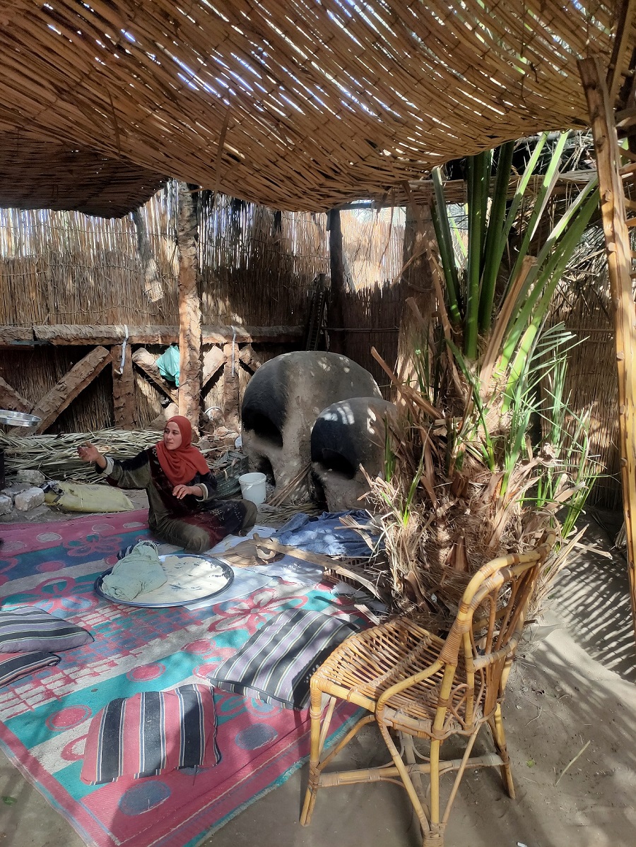 Тайны Саккары Дахшура и фермы (4/16)