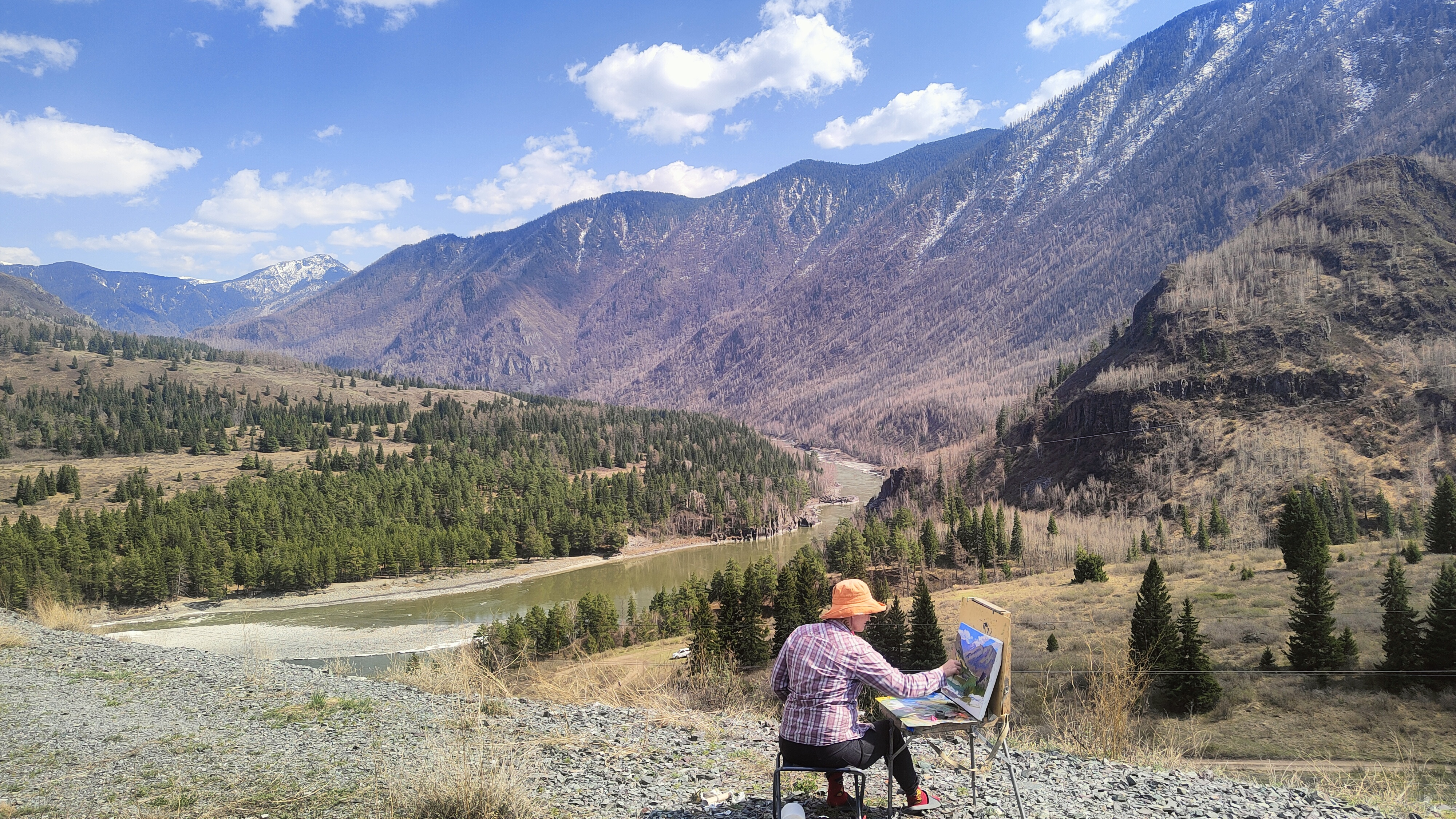 Цветение Маральника в Горах Алтая. (13/27)