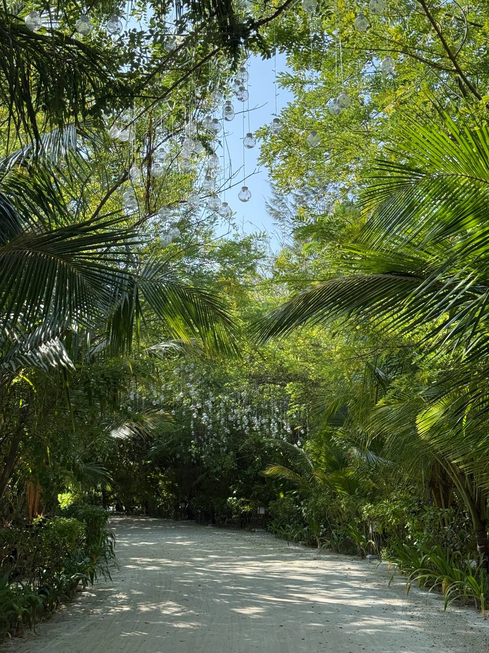 райские Мальдивы, 8 дней (42/111)