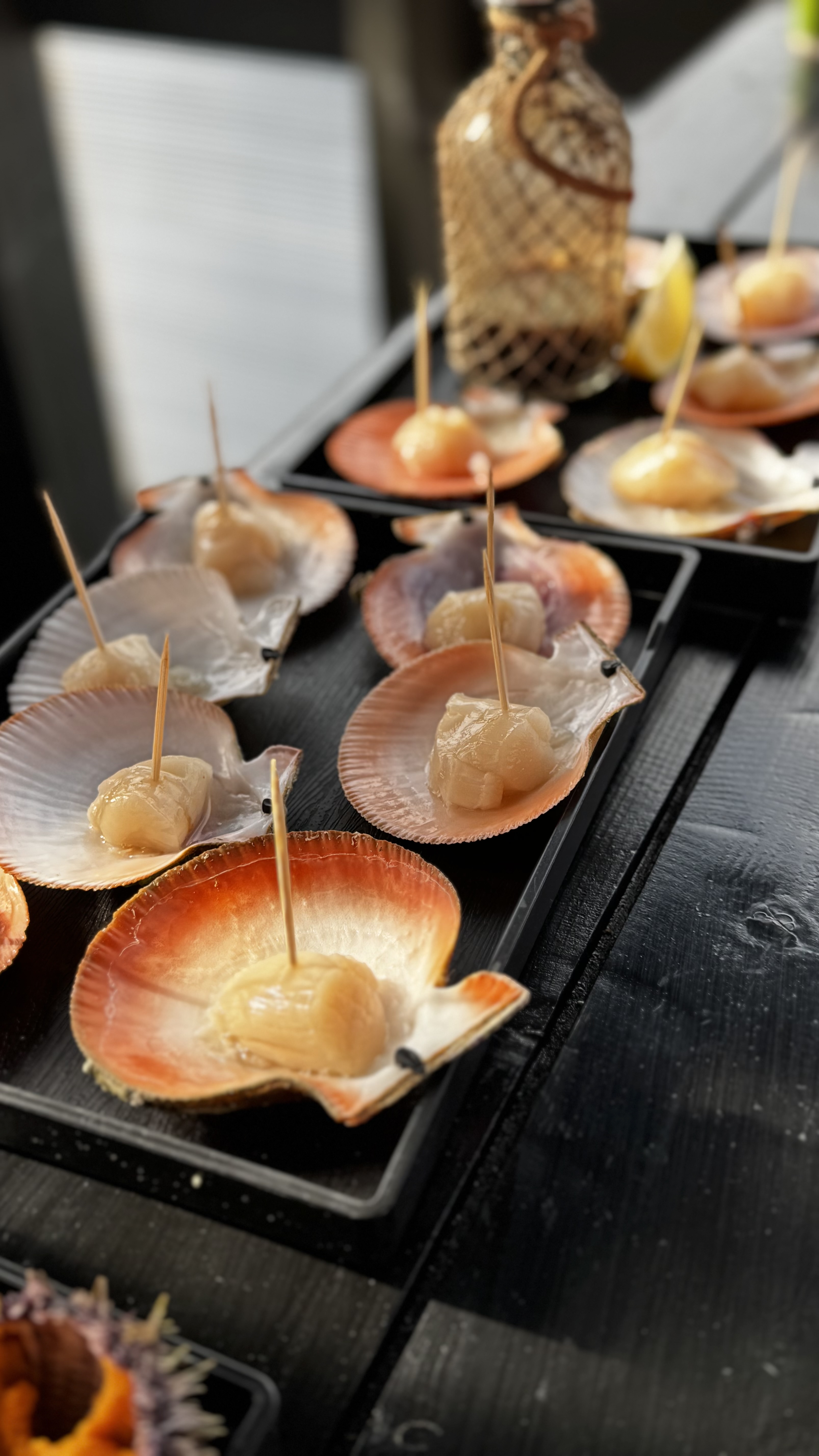 Териберка- через тундру к Краю Земли! (14/20)