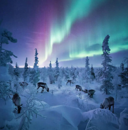 7-9.03 девичник все включено с перелетом Аэрофлот на Кольский п-ров (17/28)