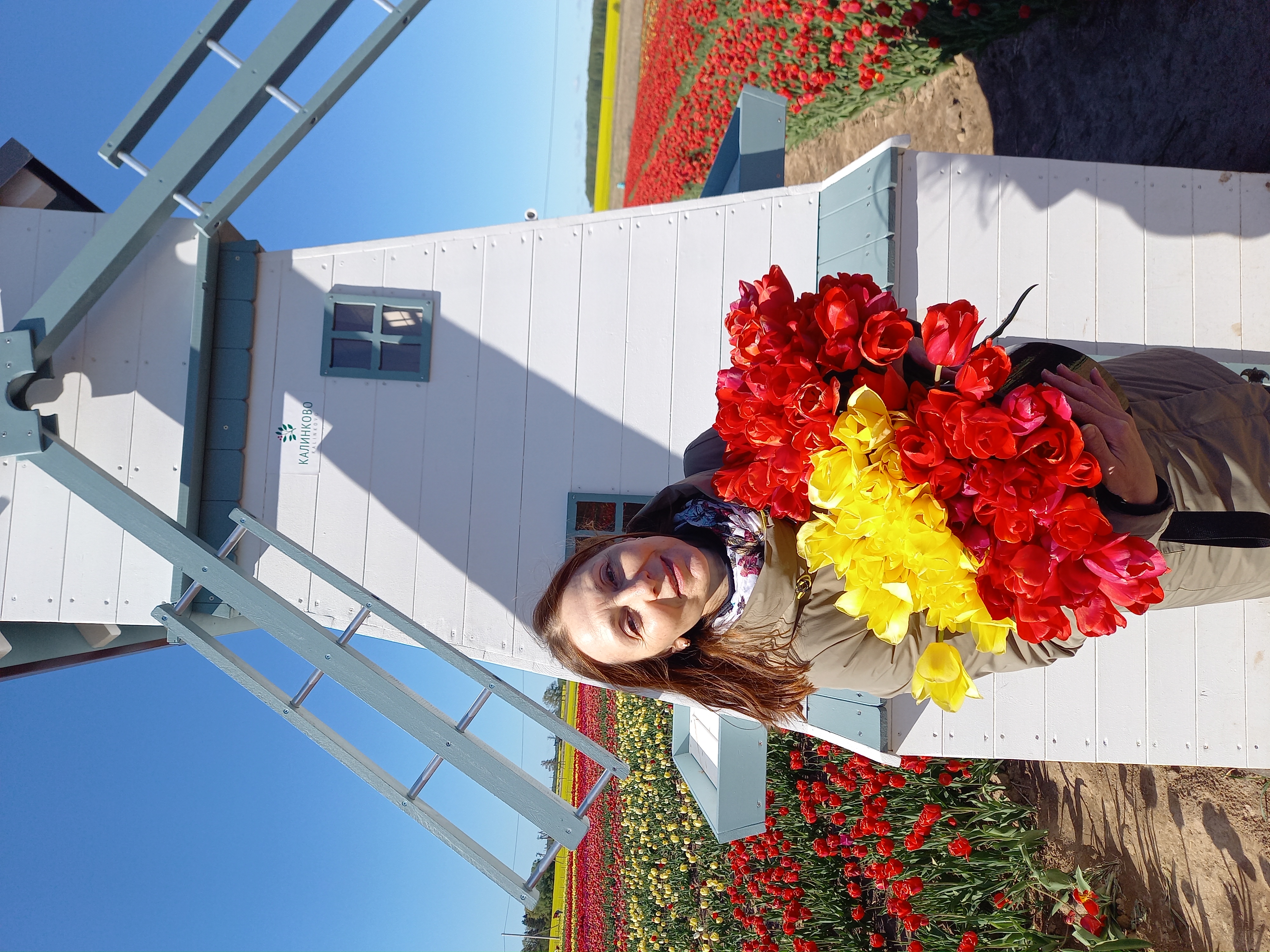 Калининградская Голландия (18/35)