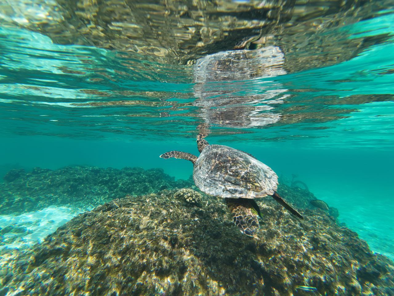 Путешествие  на Мальдивы (20/30)