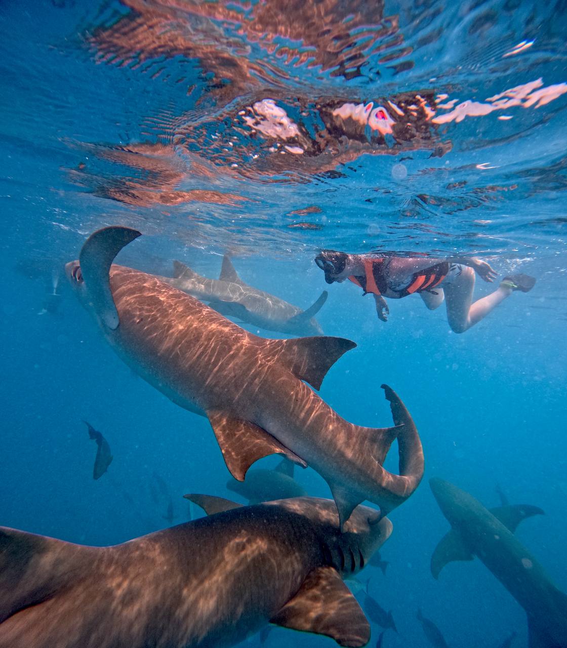 райские Мальдивы, 8 дней (47/111)