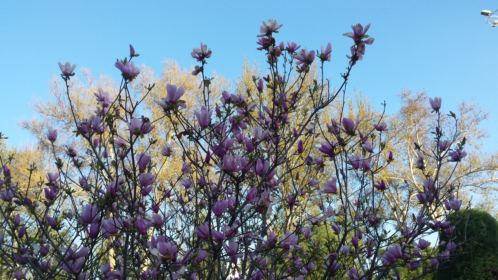 Три жемчужины Востока - Самарканд, Бухара и Хива! (10/35)