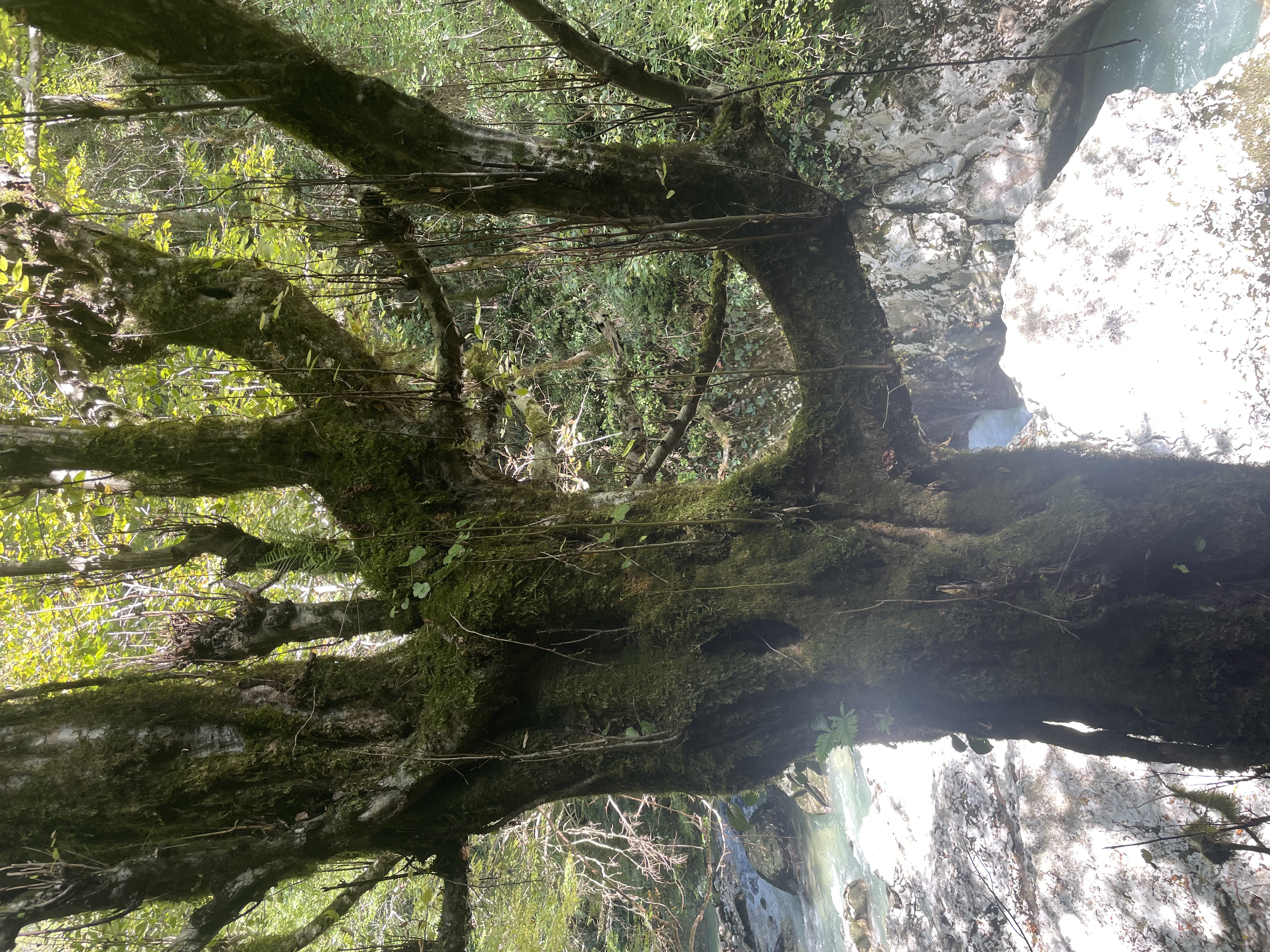 Йога-тур Дыхание гор и ритм волн.6 дней.Все включено (11/17)