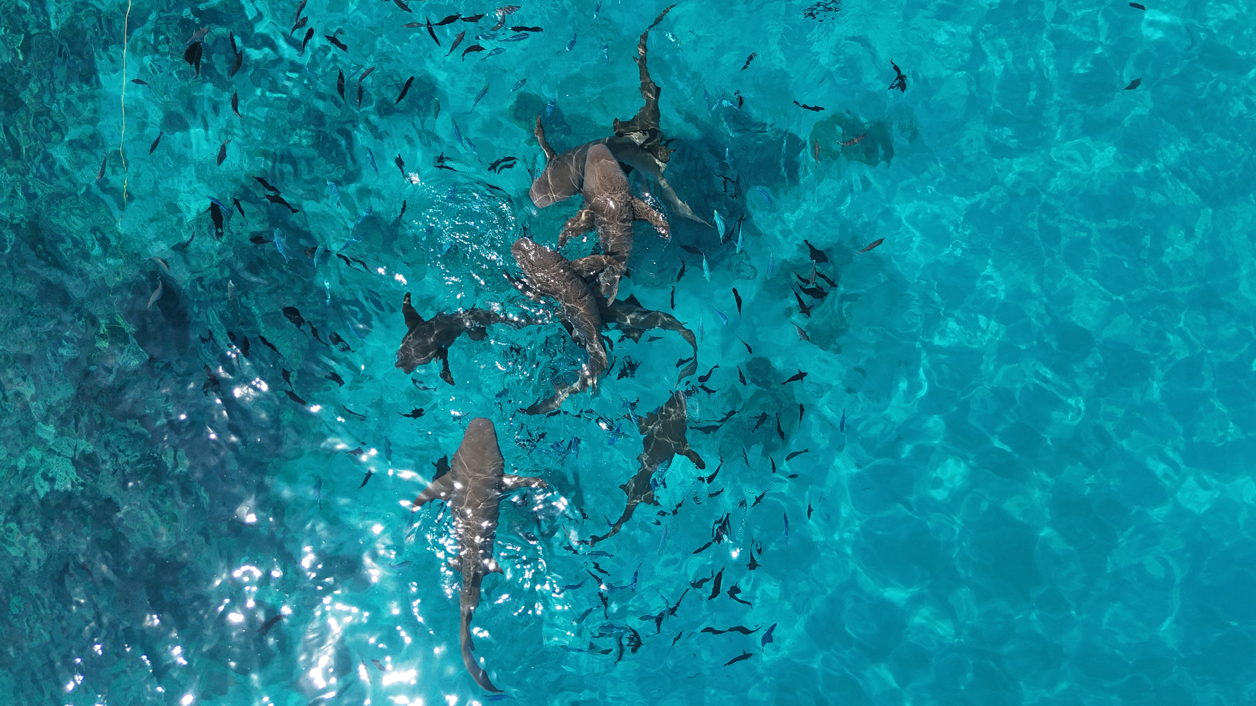 Путешествие  на Мальдивы (11/30)