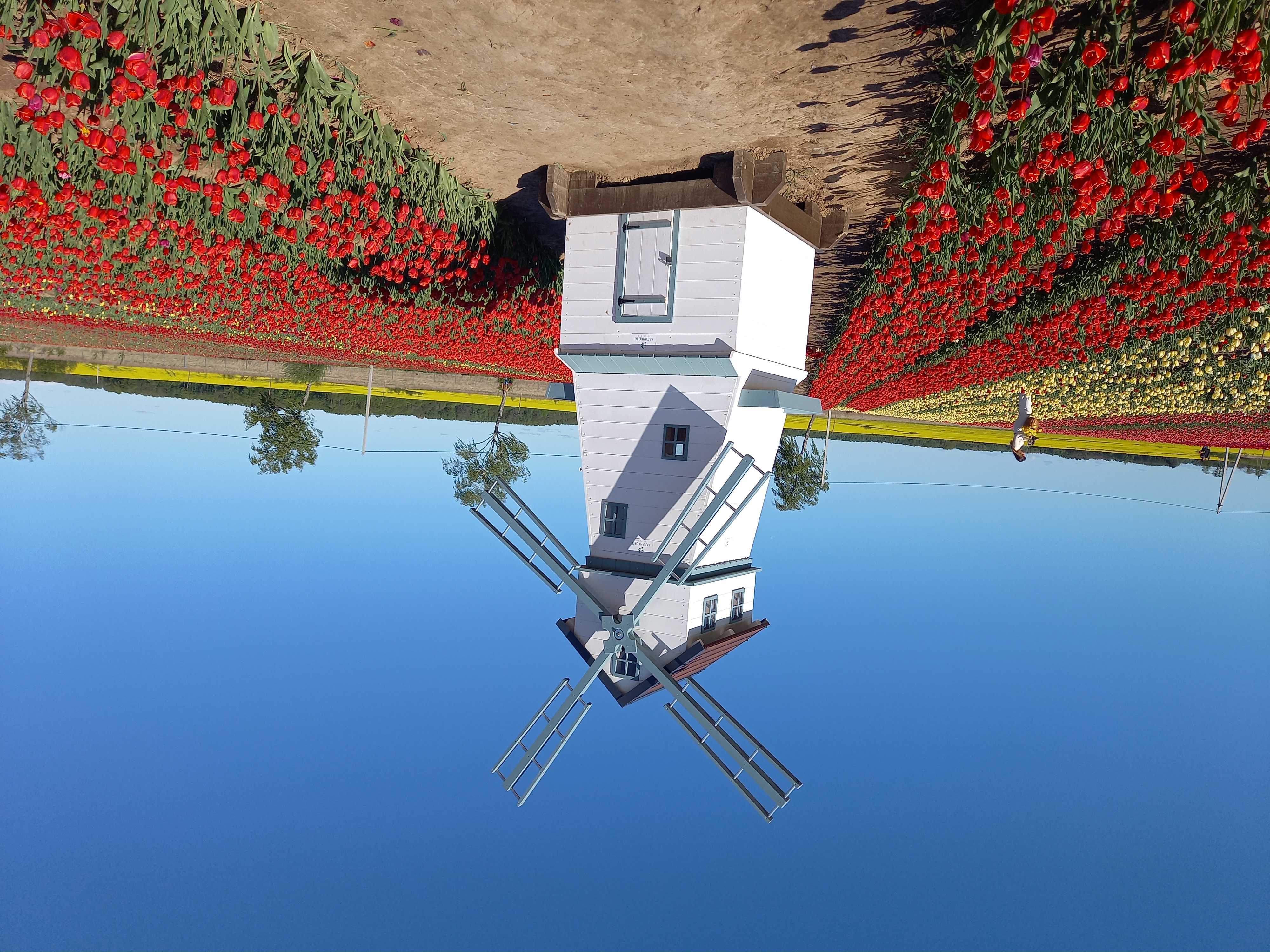 Калининградская Голландия (19/35)