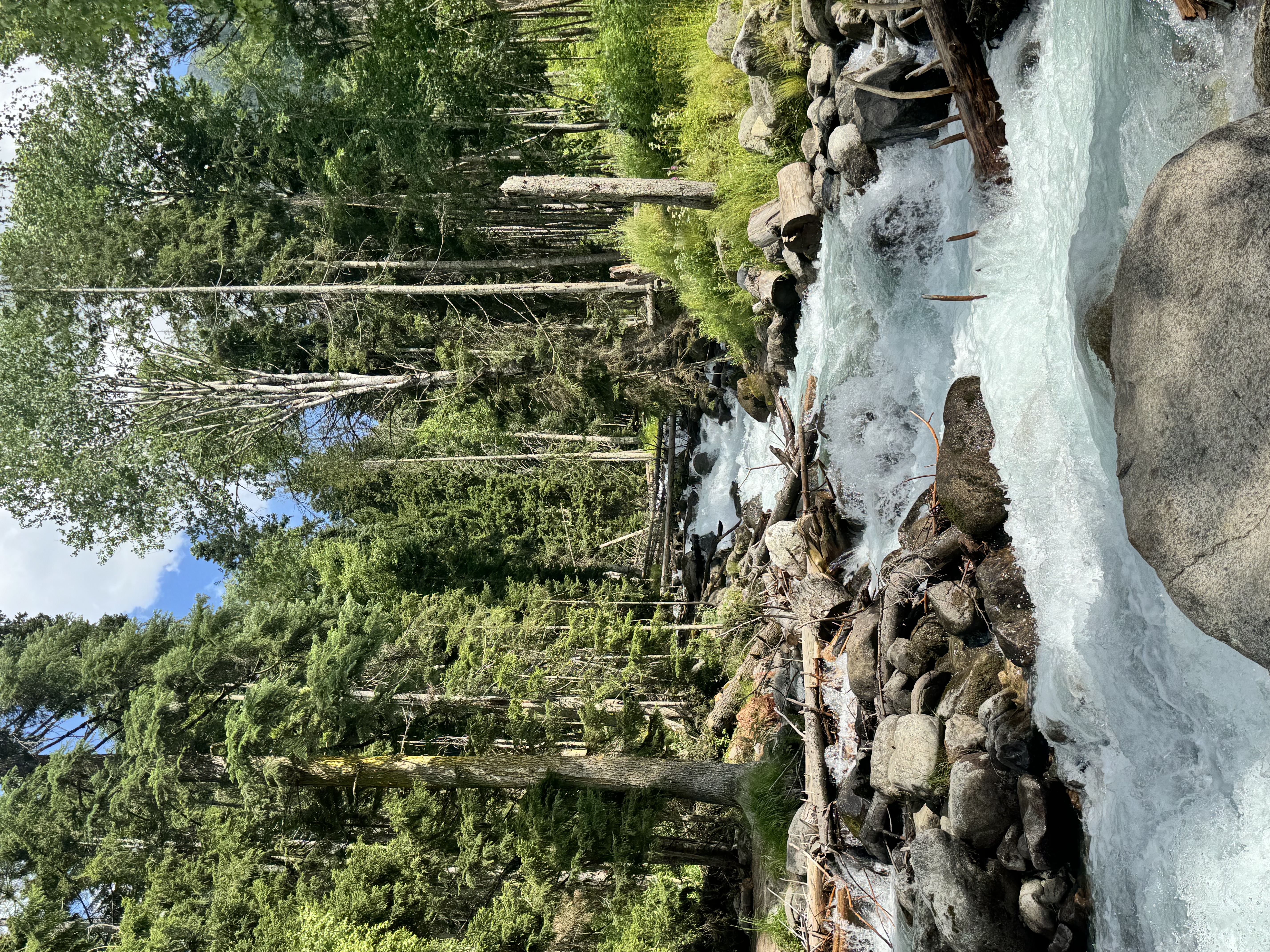 Эхо весны в горах: 4дневный тур в Домбай (2/21)
