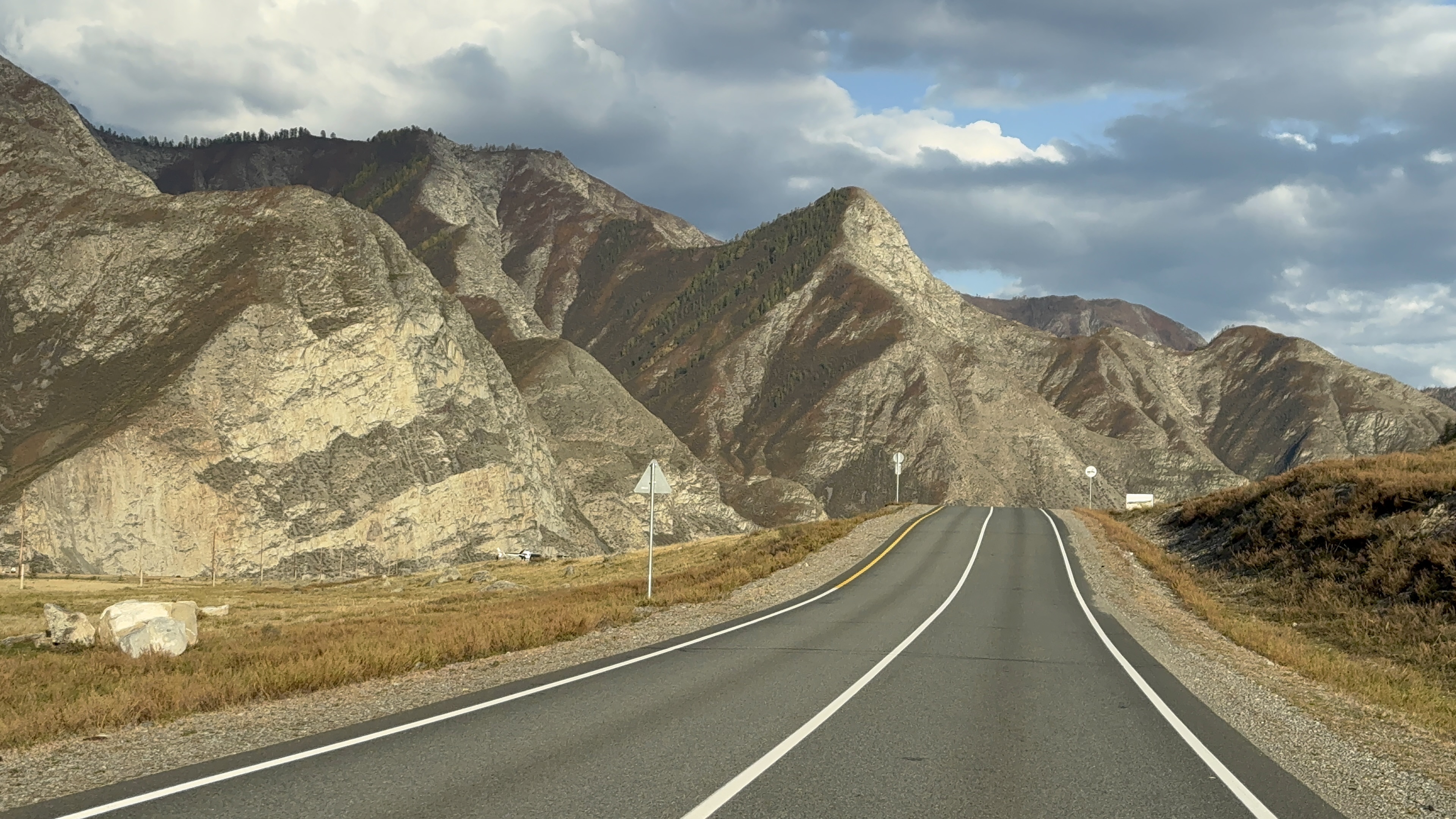 Цветение Маральника в Горах Алтая. (15/27)