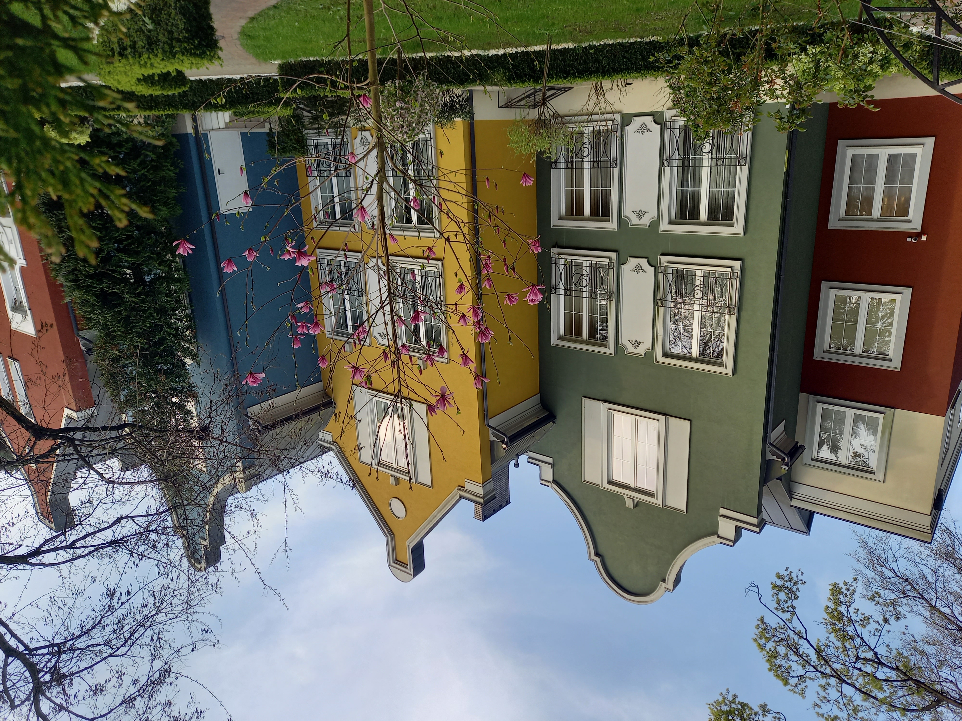 Калининградская Голландия (25/35)