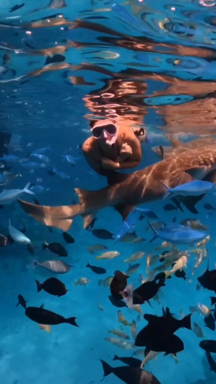 Путешествие  на Мальдивы (23/30)