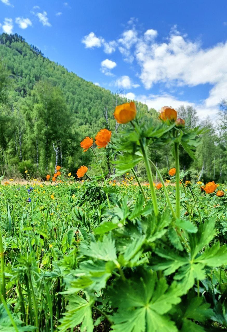 Спорт Кэмп. Алтай: спорт и приключения в одном туре. (5/31)