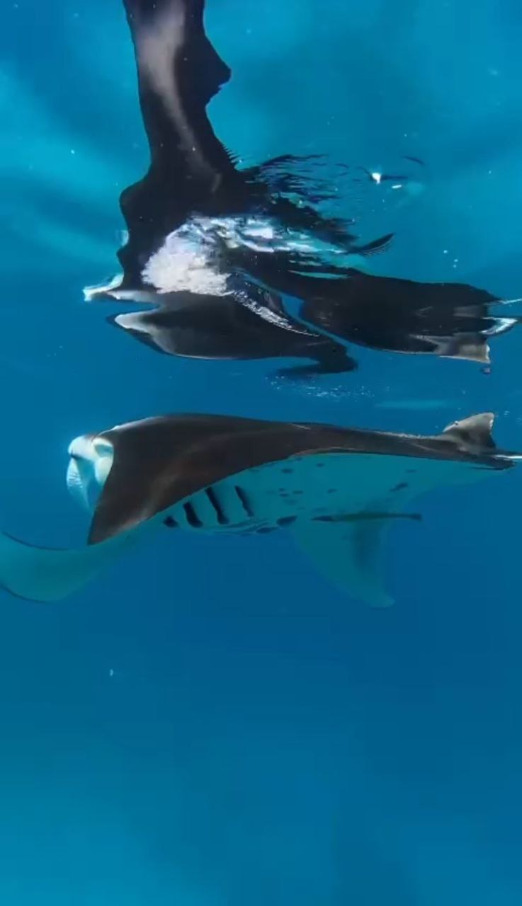 Путешествие  на Мальдивы (22/30)