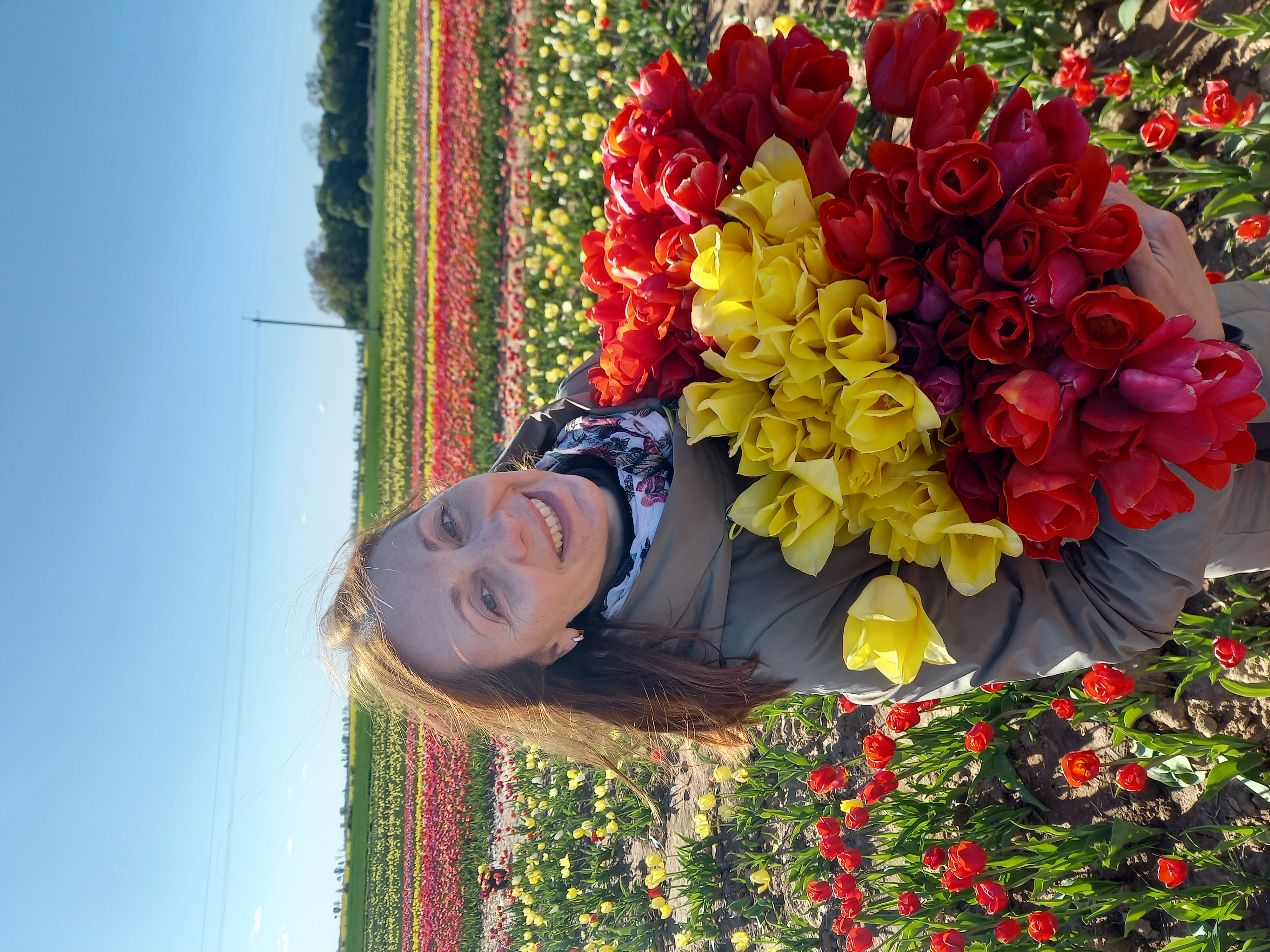 Калининградская Голландия