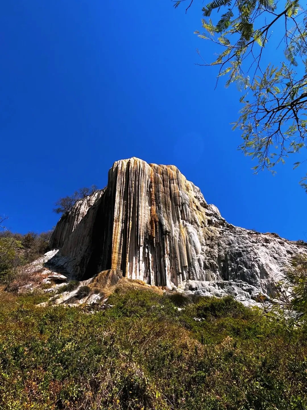 Мексика. День мертвых (44/64)