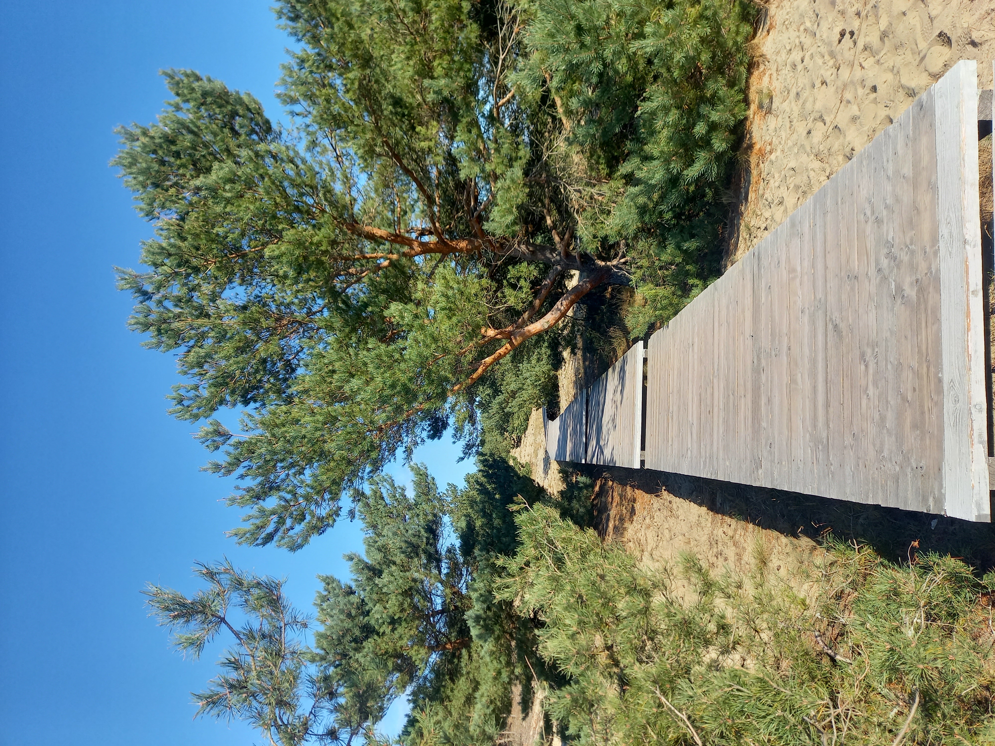 Калининградская Голландия (16/35)