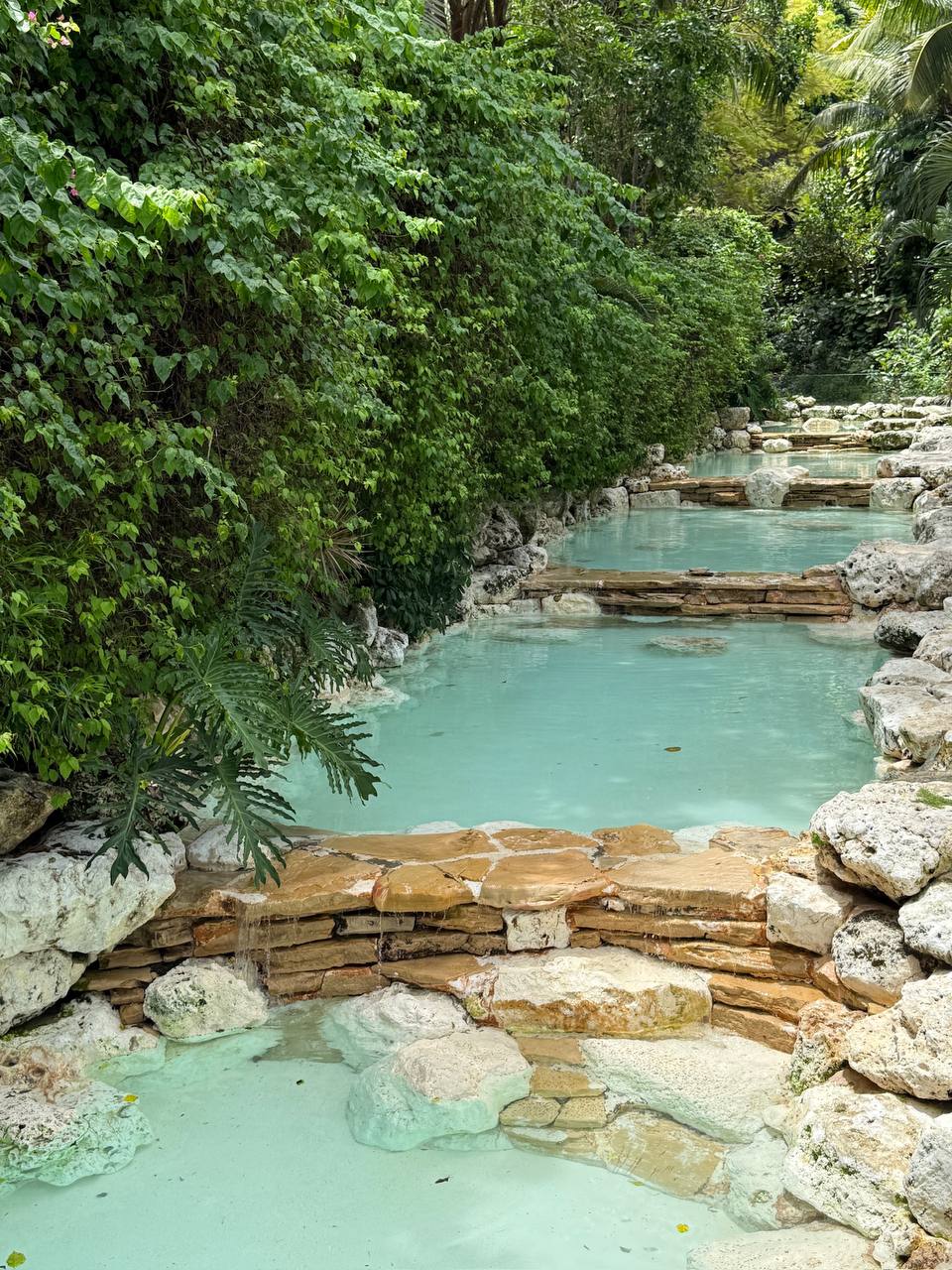 Бали, путешествие на 10 дней. Убуд, море, Нуса Пенида (6/60)