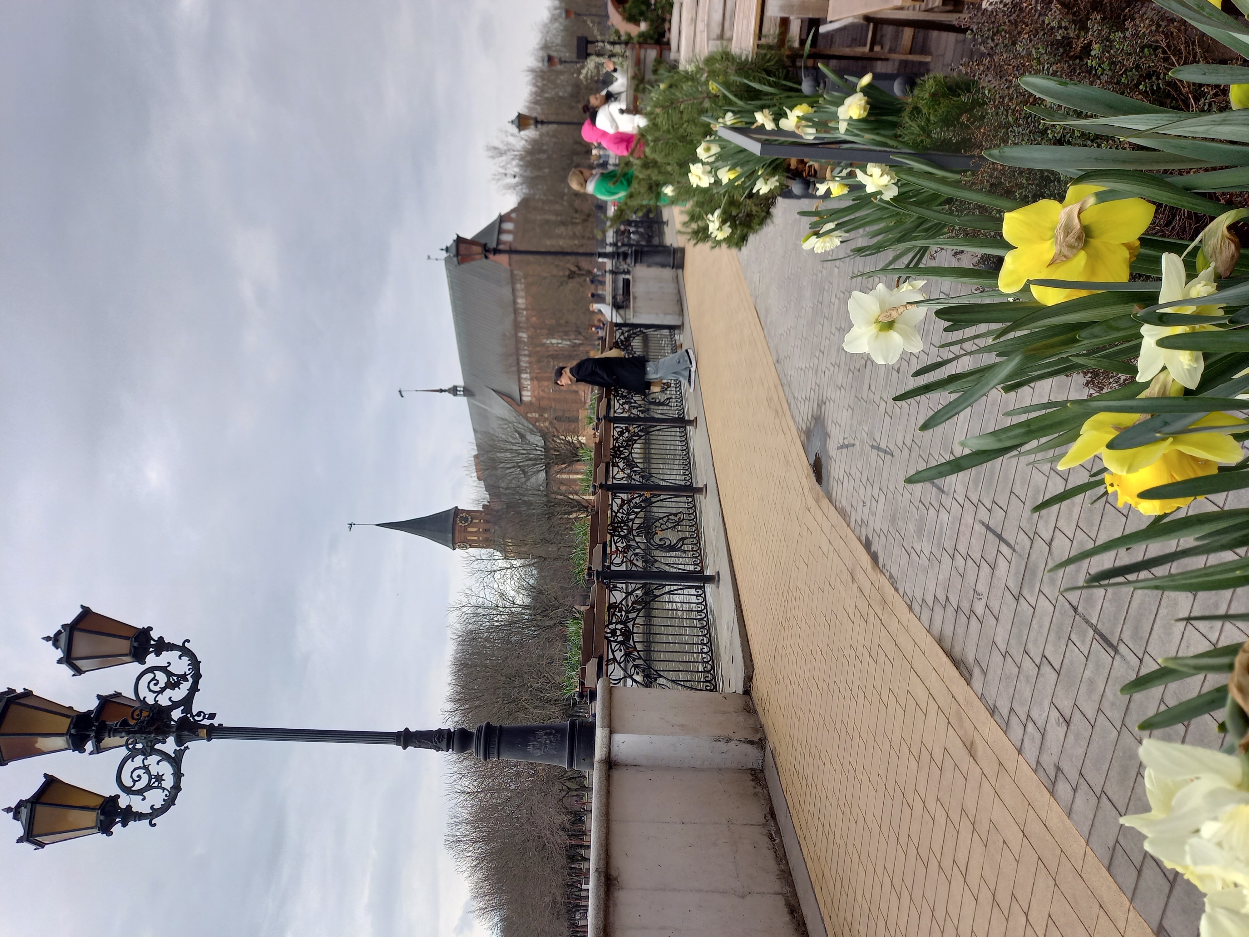 Калининградская Голландия (11/35)