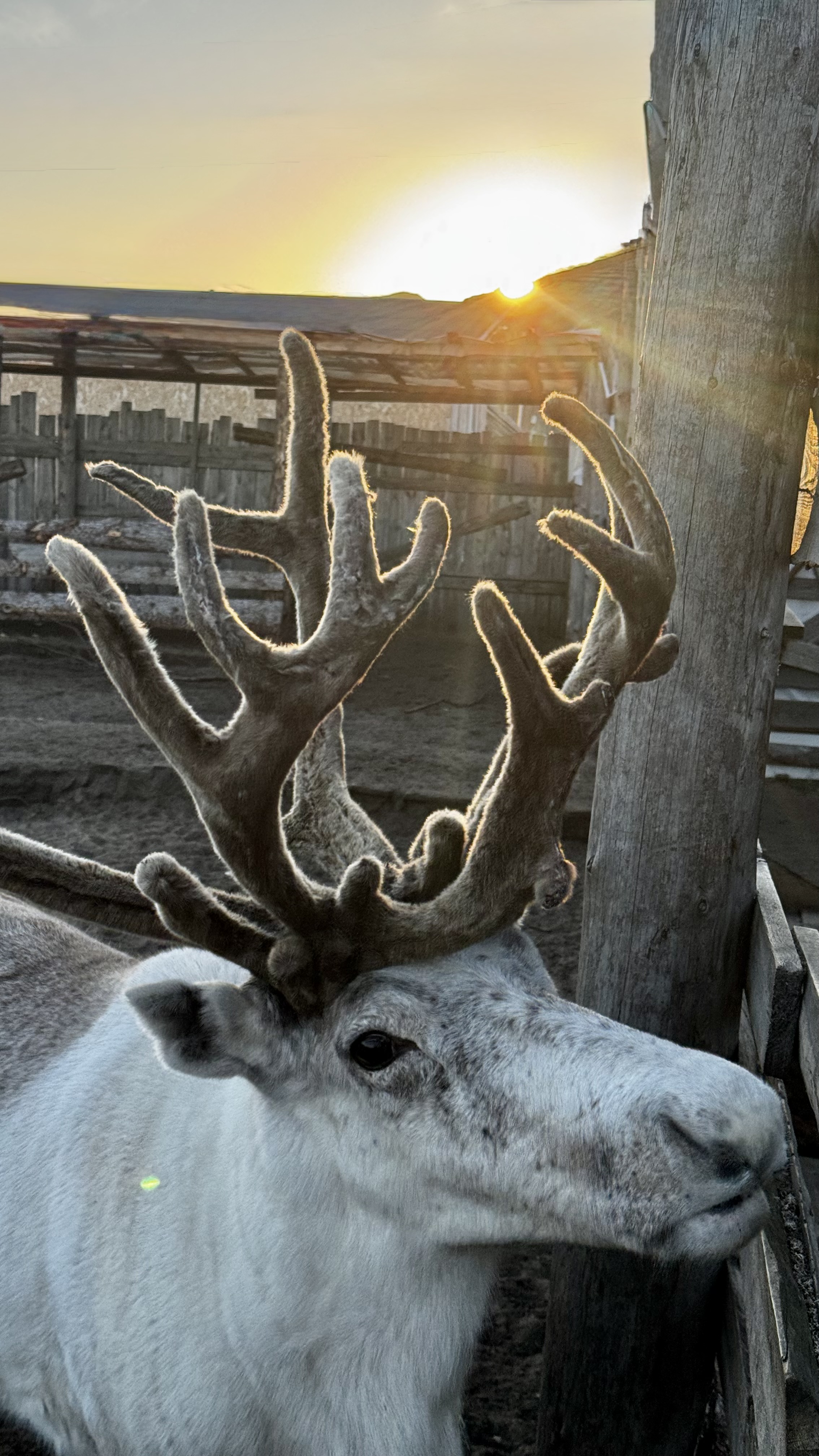 Териберка- через тундру к Краю Земли! (13/20)