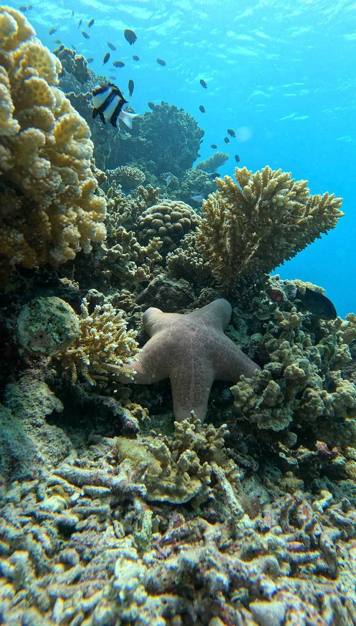 райские Мальдивы, 8 дней (56/111)