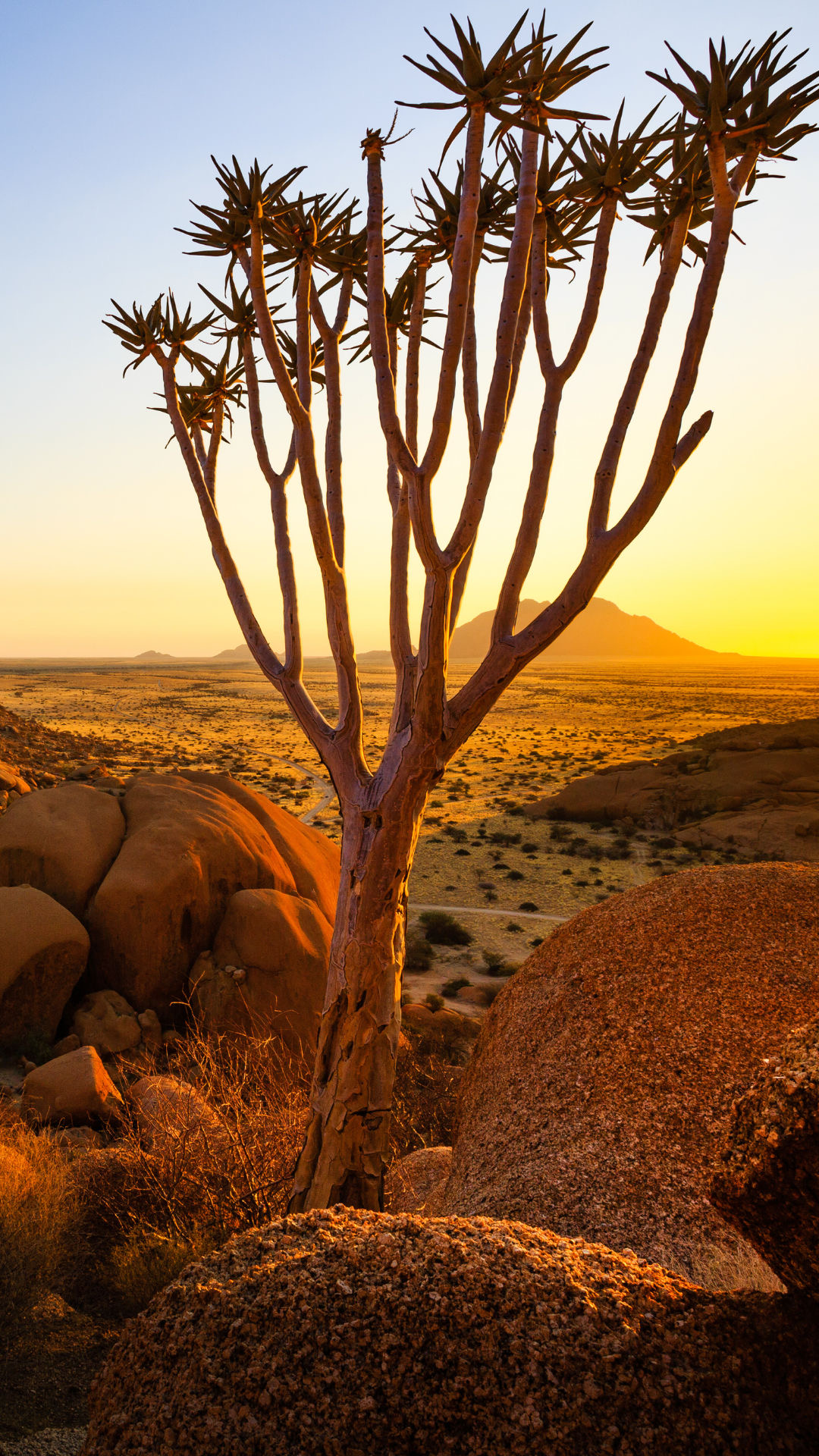Тур в Намибию — путешествие, которое меняет представление об Африке.